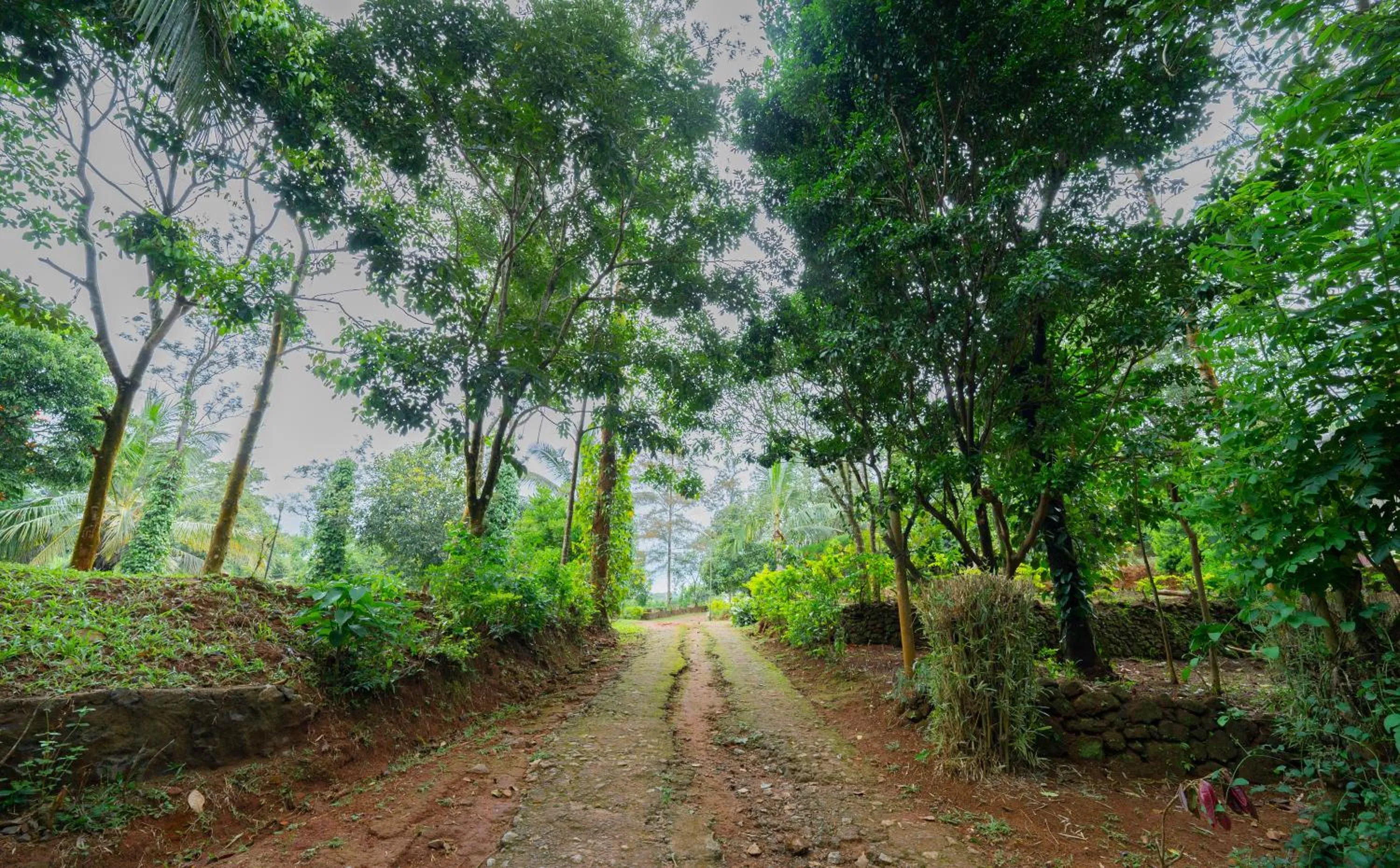 Natural landscape in Misty Heights by The Sanihara
