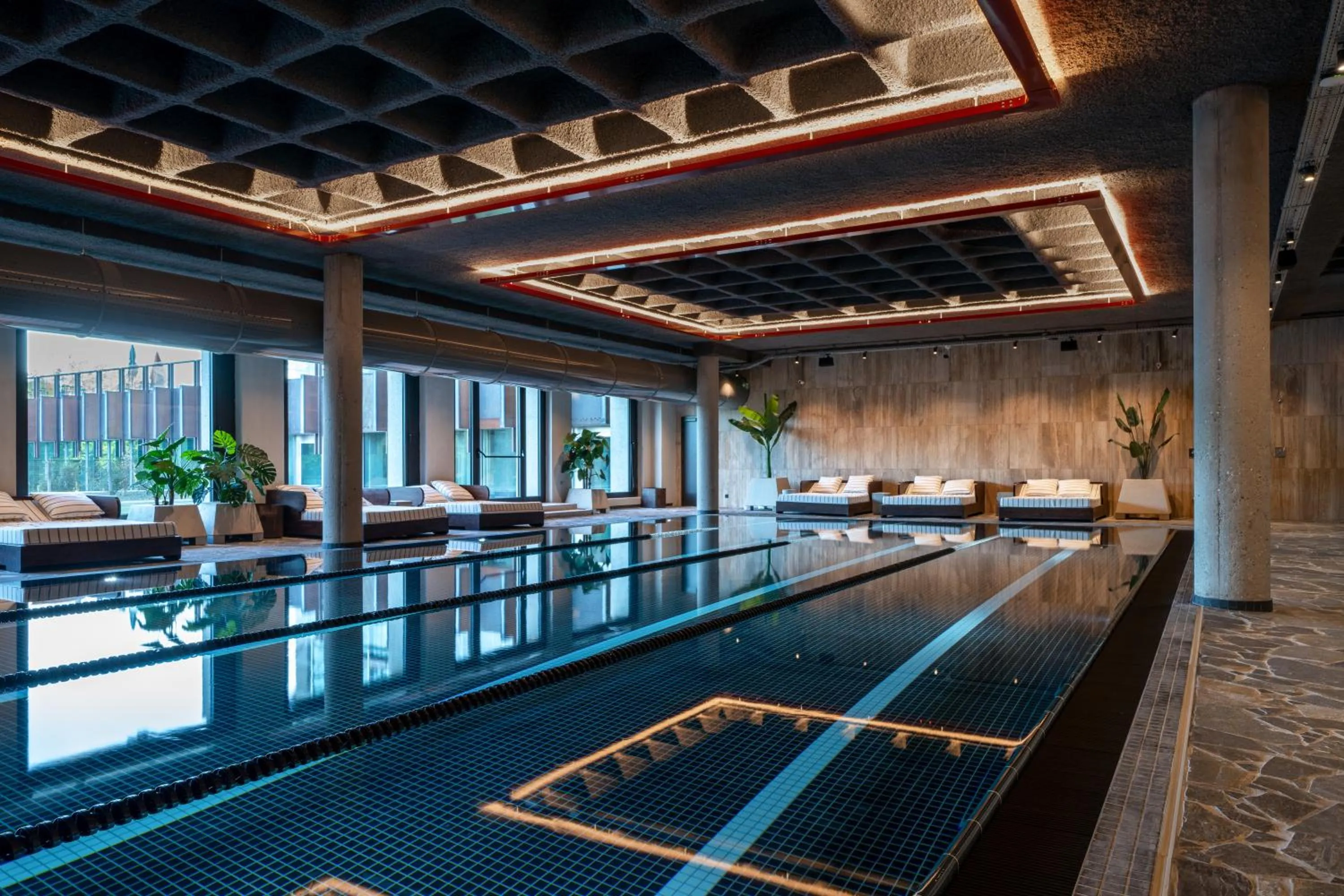 Swimming pool in Mix Brussels --Gym & Wellness for adults only--