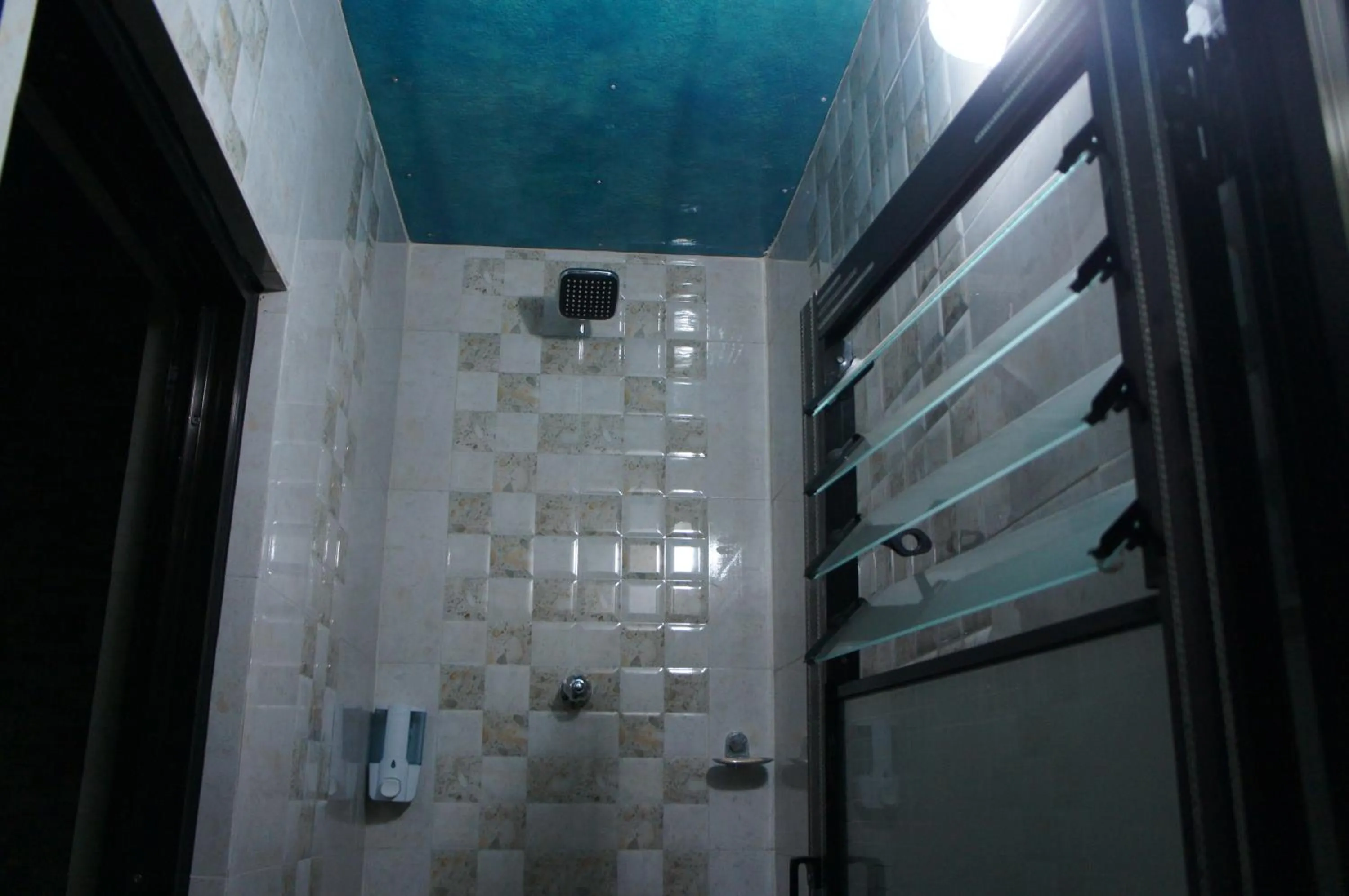 Shower in Hotel Mount Paradise