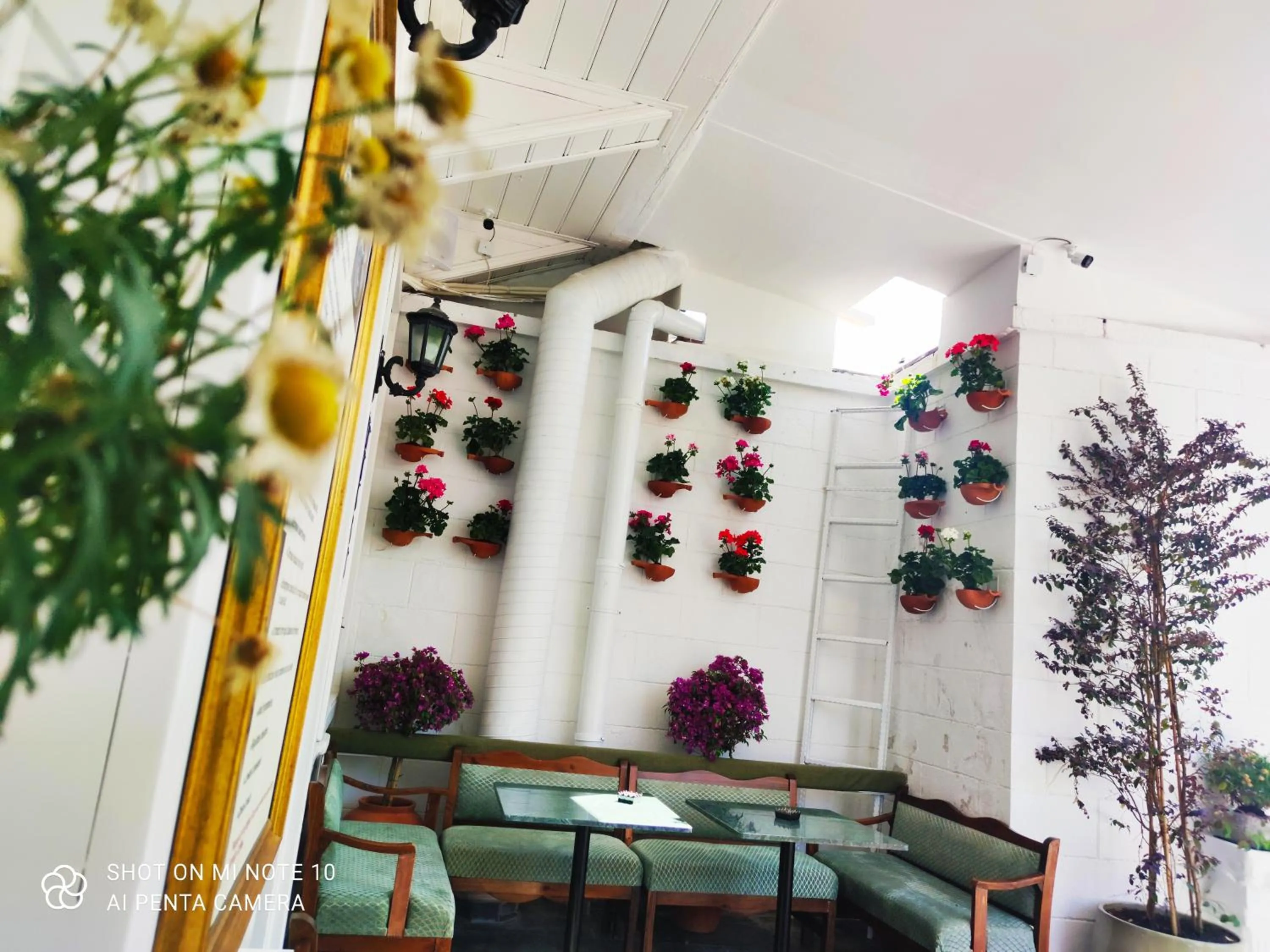 Balcony/Terrace in Solomon's Mansion Hotel Istanbul