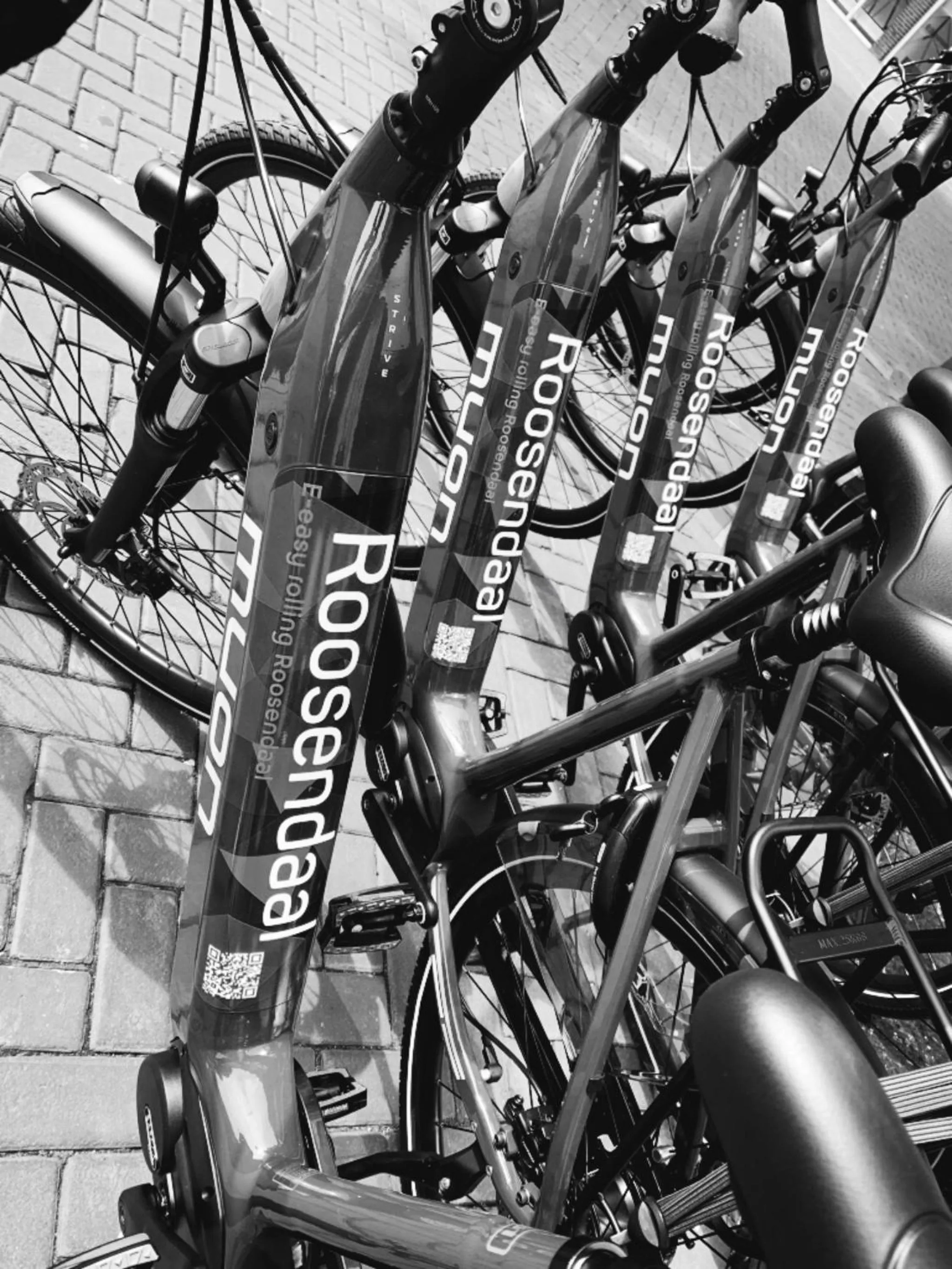 Activities in The Rosendale