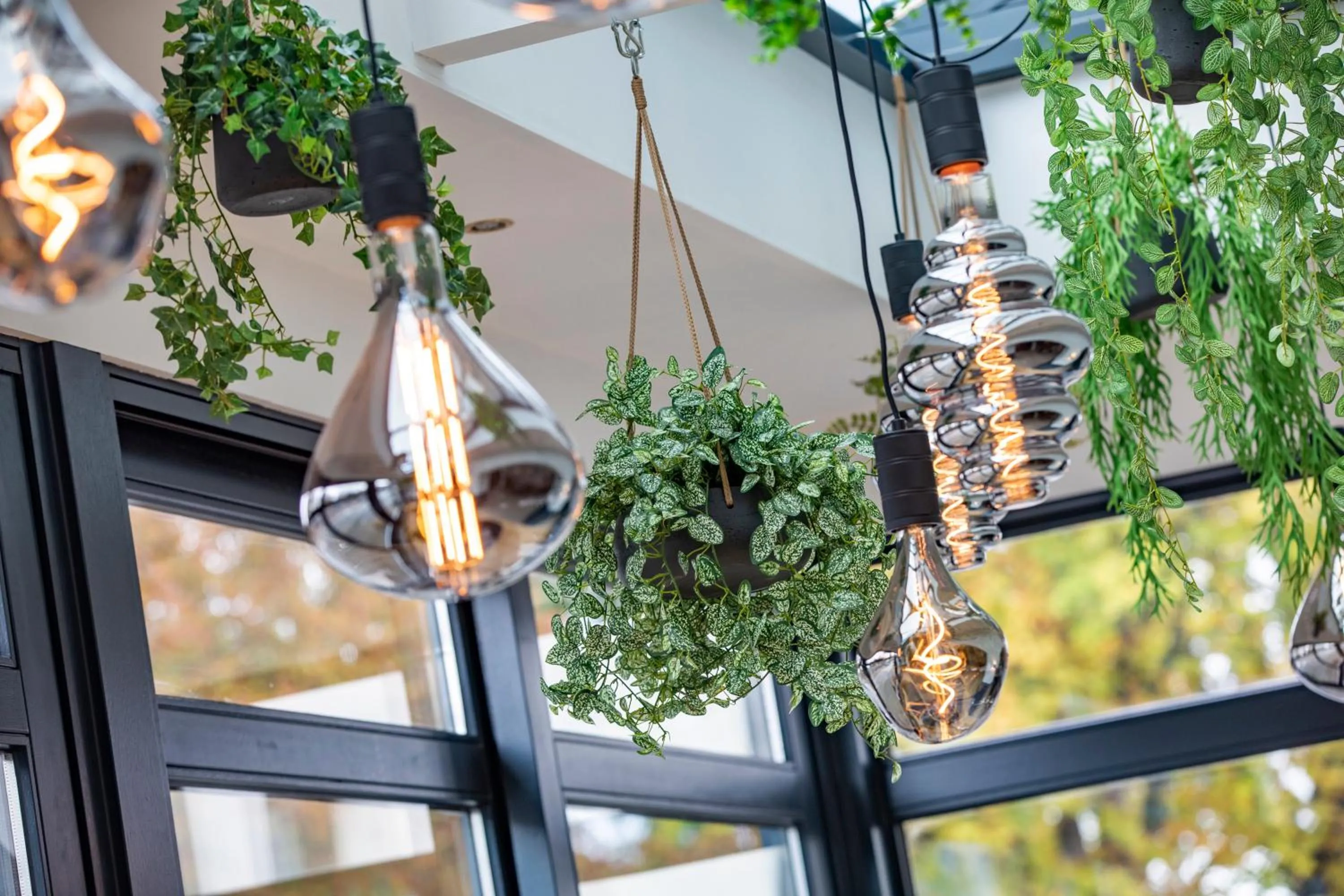 View (from property/room) in The Rosendale