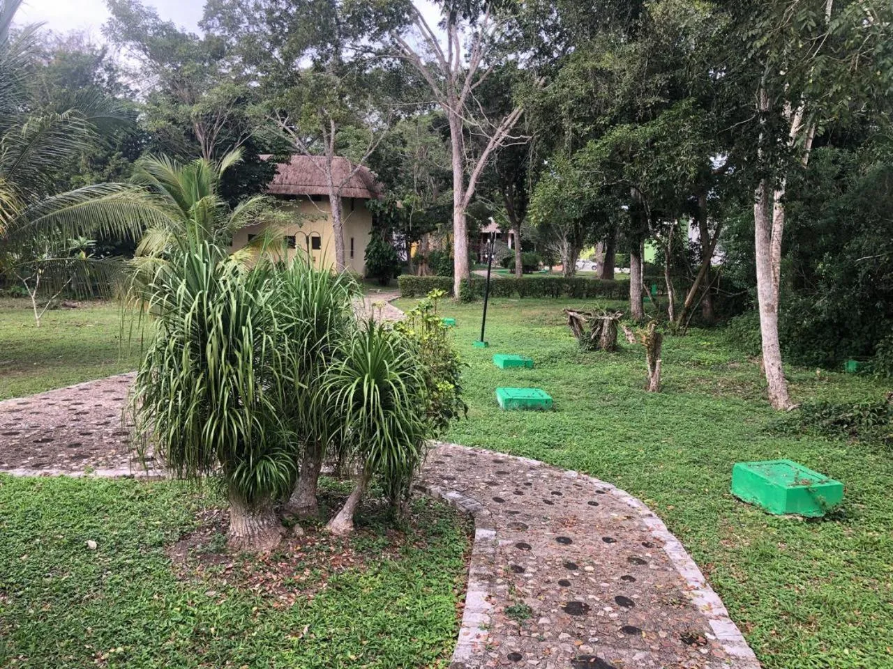 Natural landscape in hotel villas chicanna