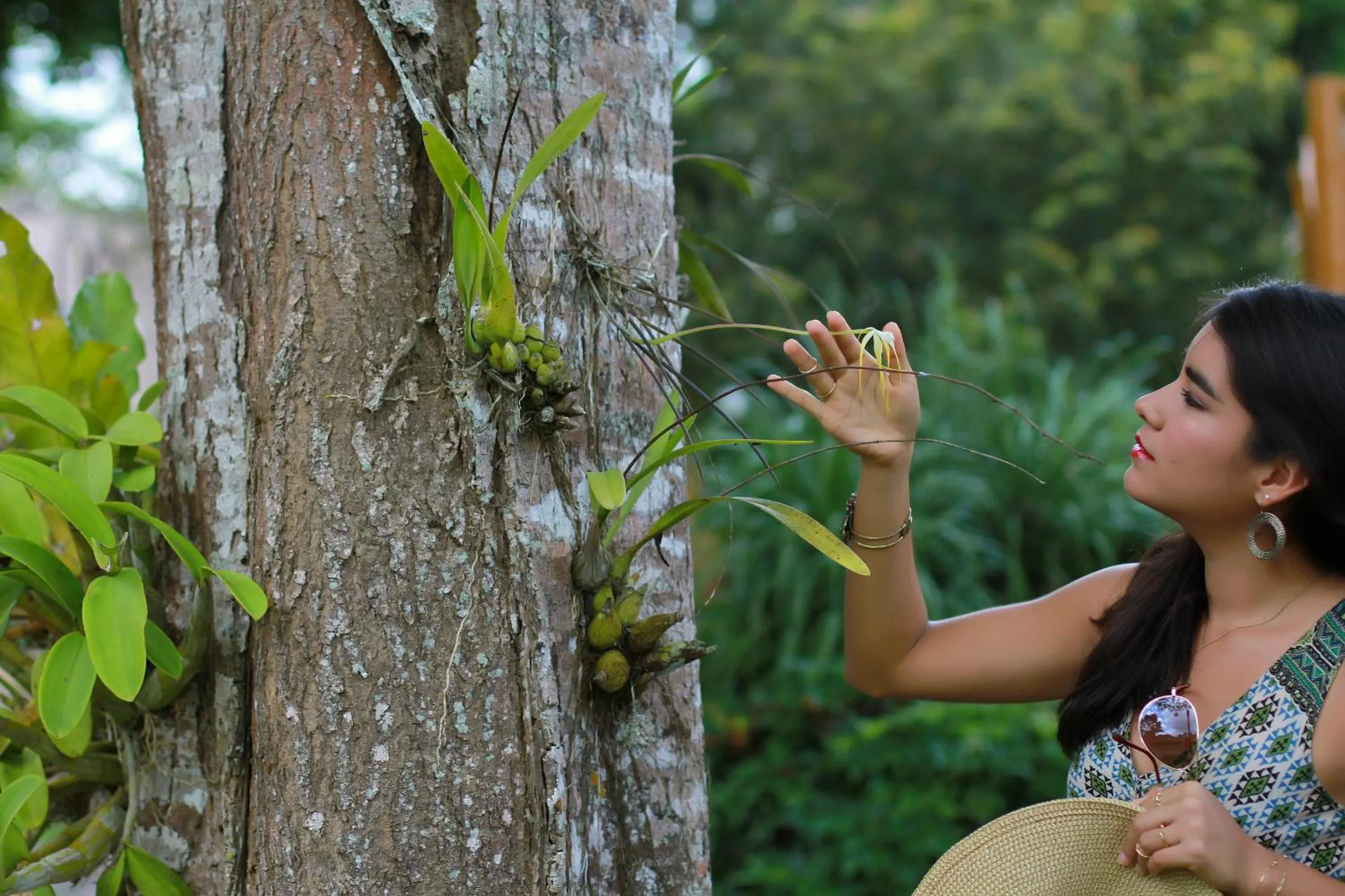 Garden in hotel villas chicanna