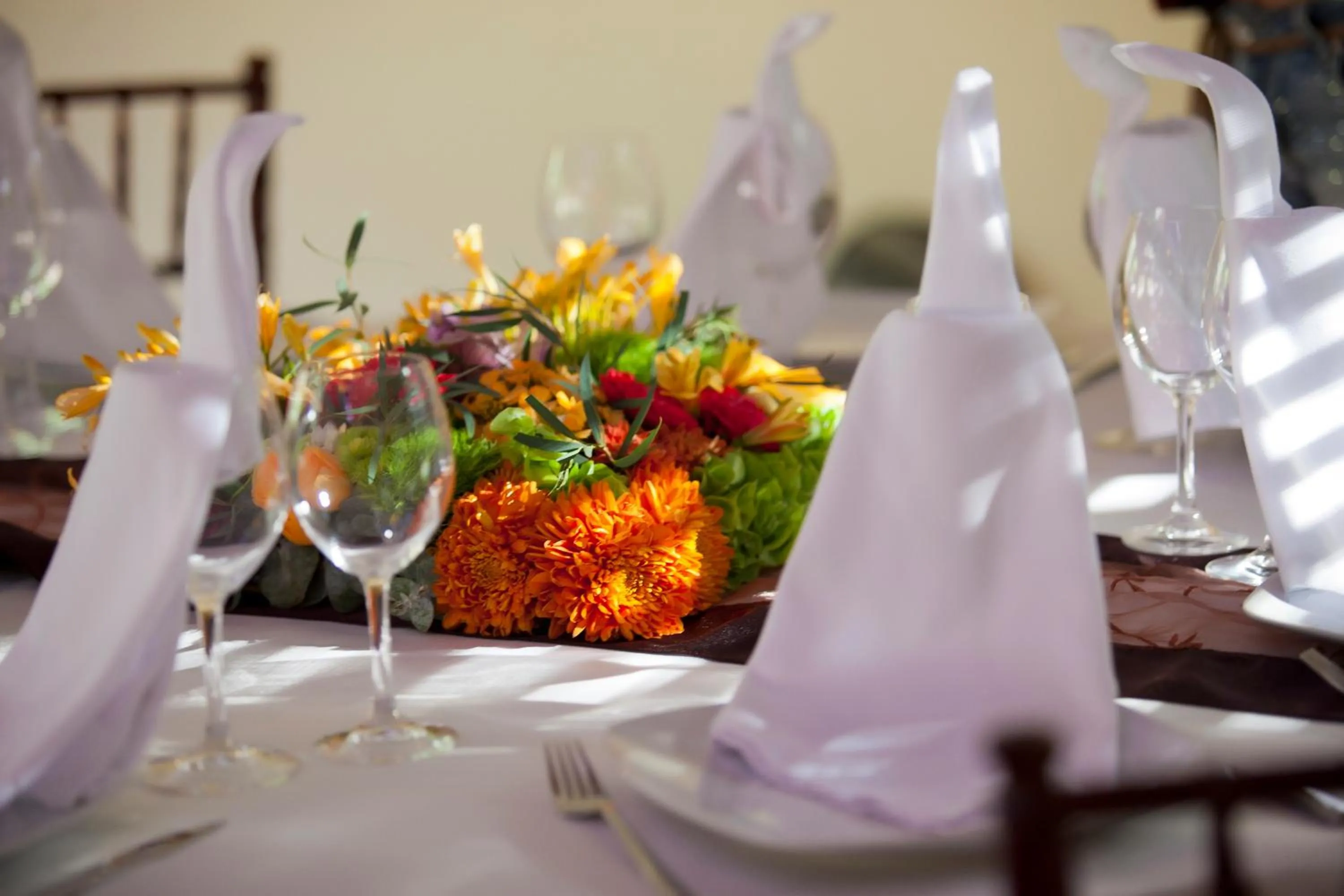 Food in hotel villas chicanna