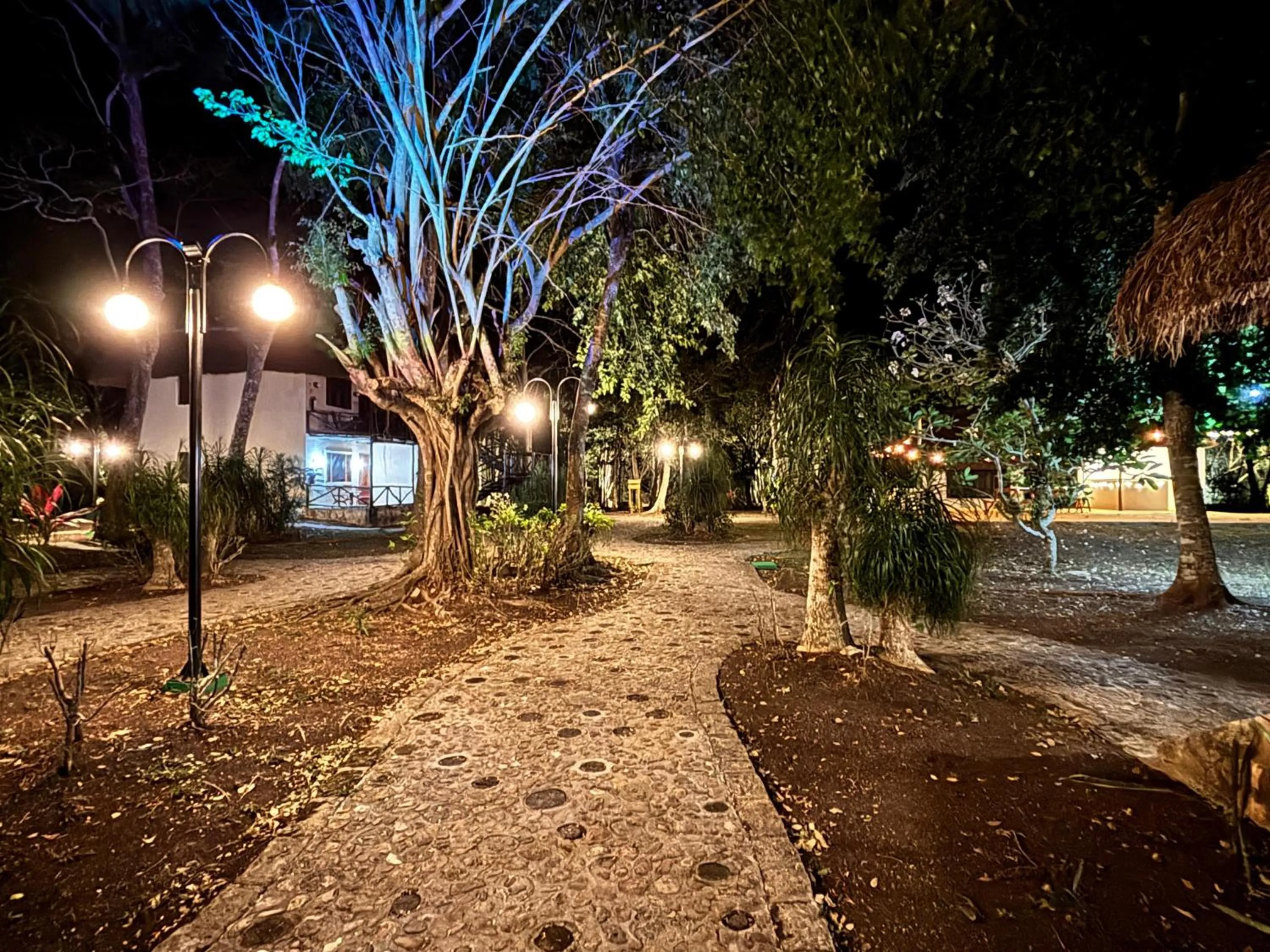 Garden in hotel villas chicanna