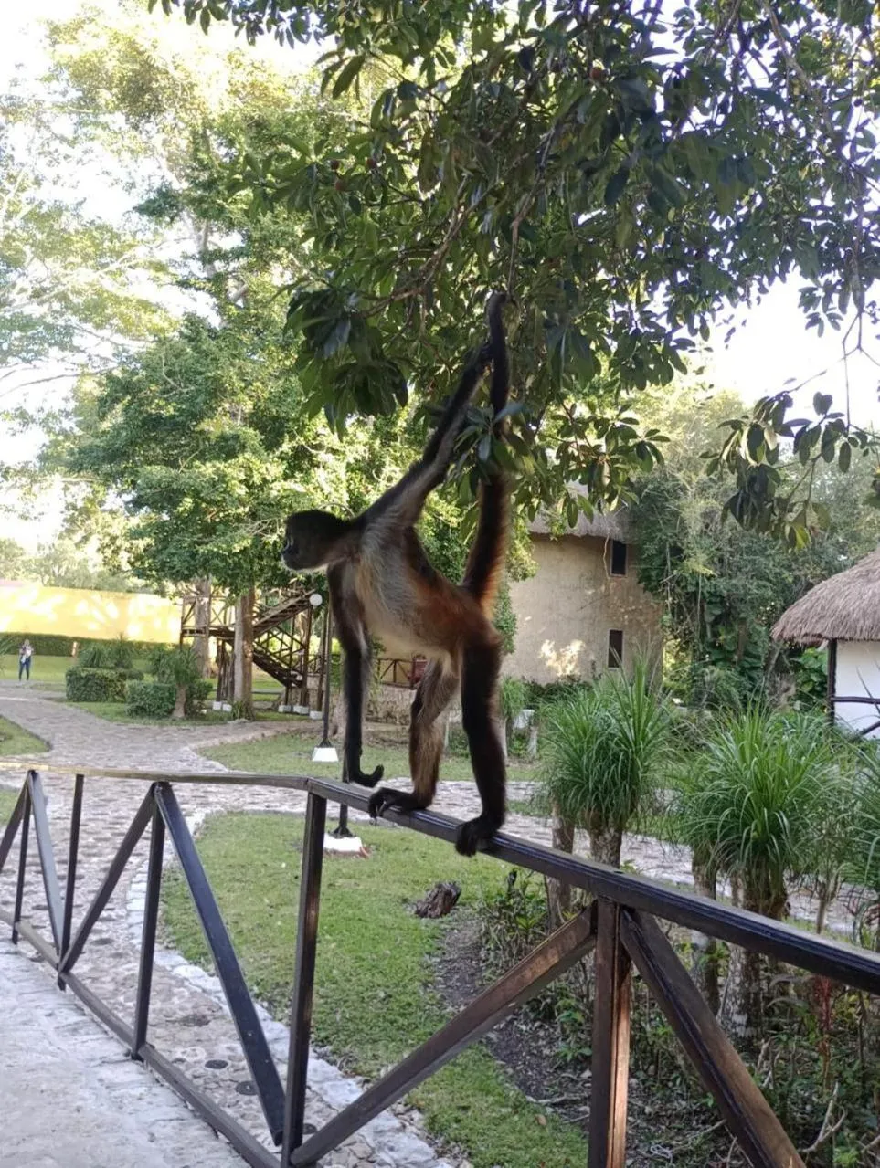 Day in hotel villas chicanna