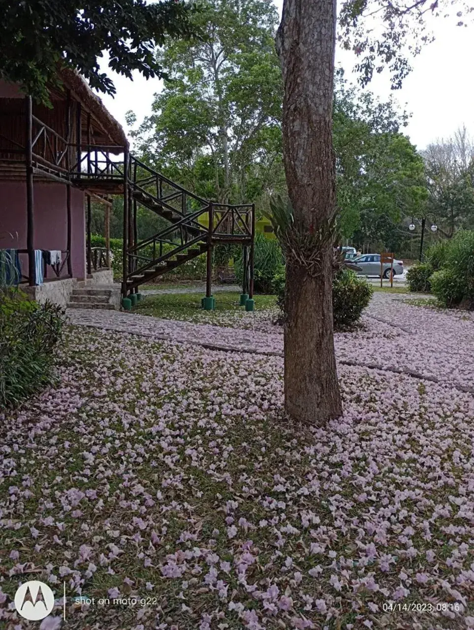 Property building in hotel villas chicanna Property building in hotel villas chicanna