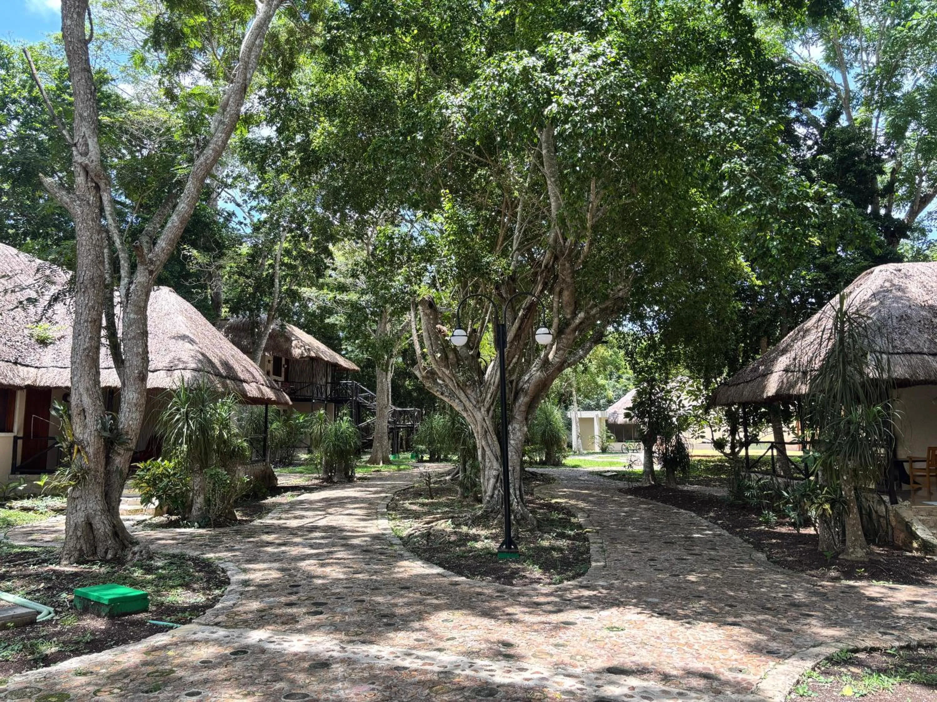 Garden in hotel villas chicanna