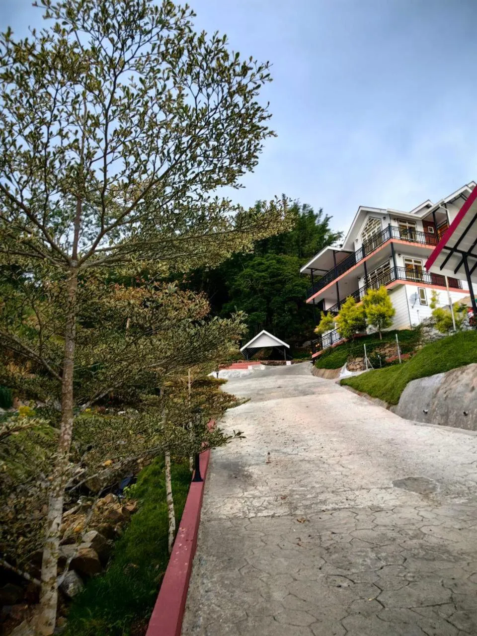 Natural landscape in KUNDASANG MOUNT GARDEN