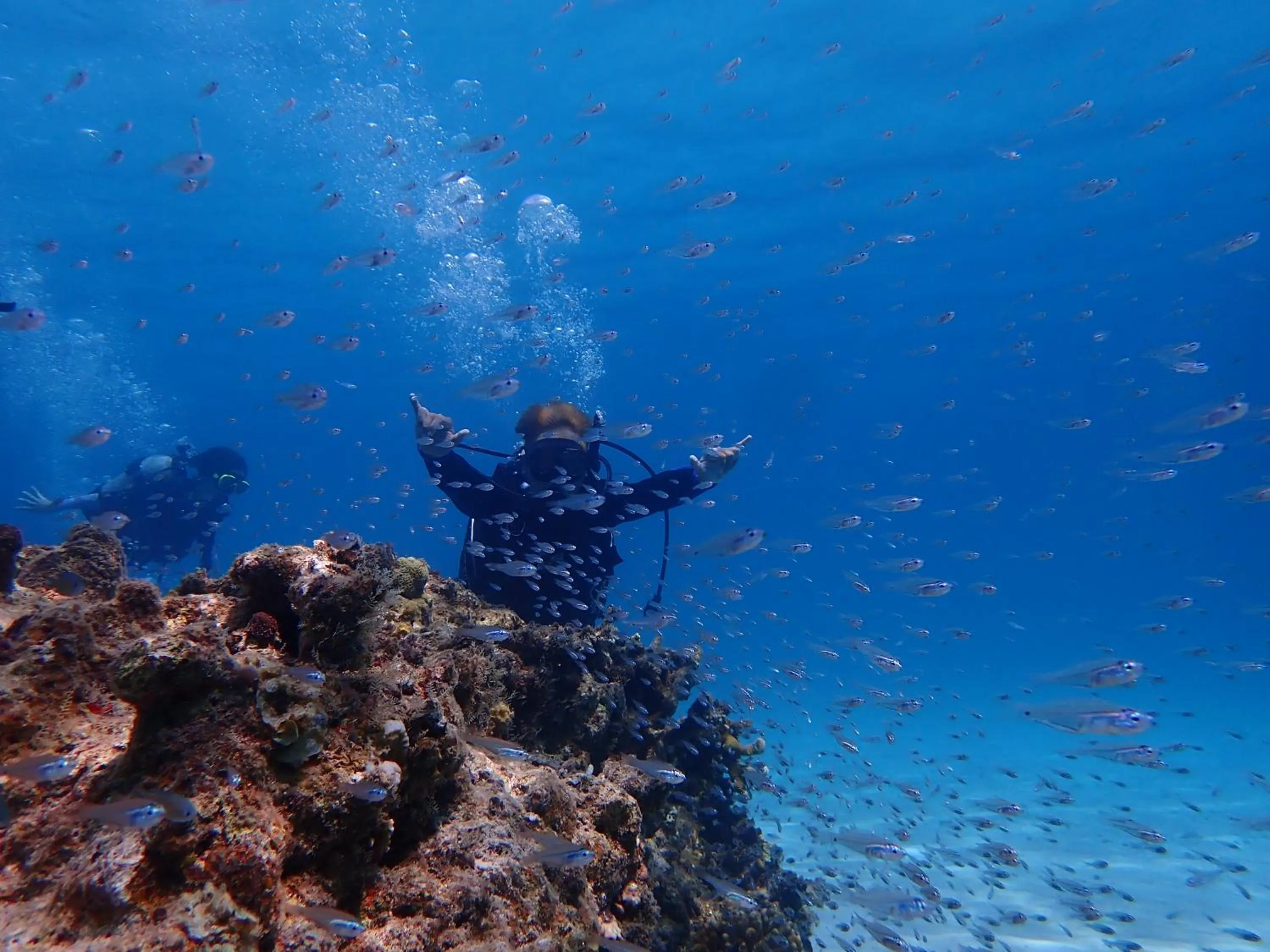 Diving in Cottage Do