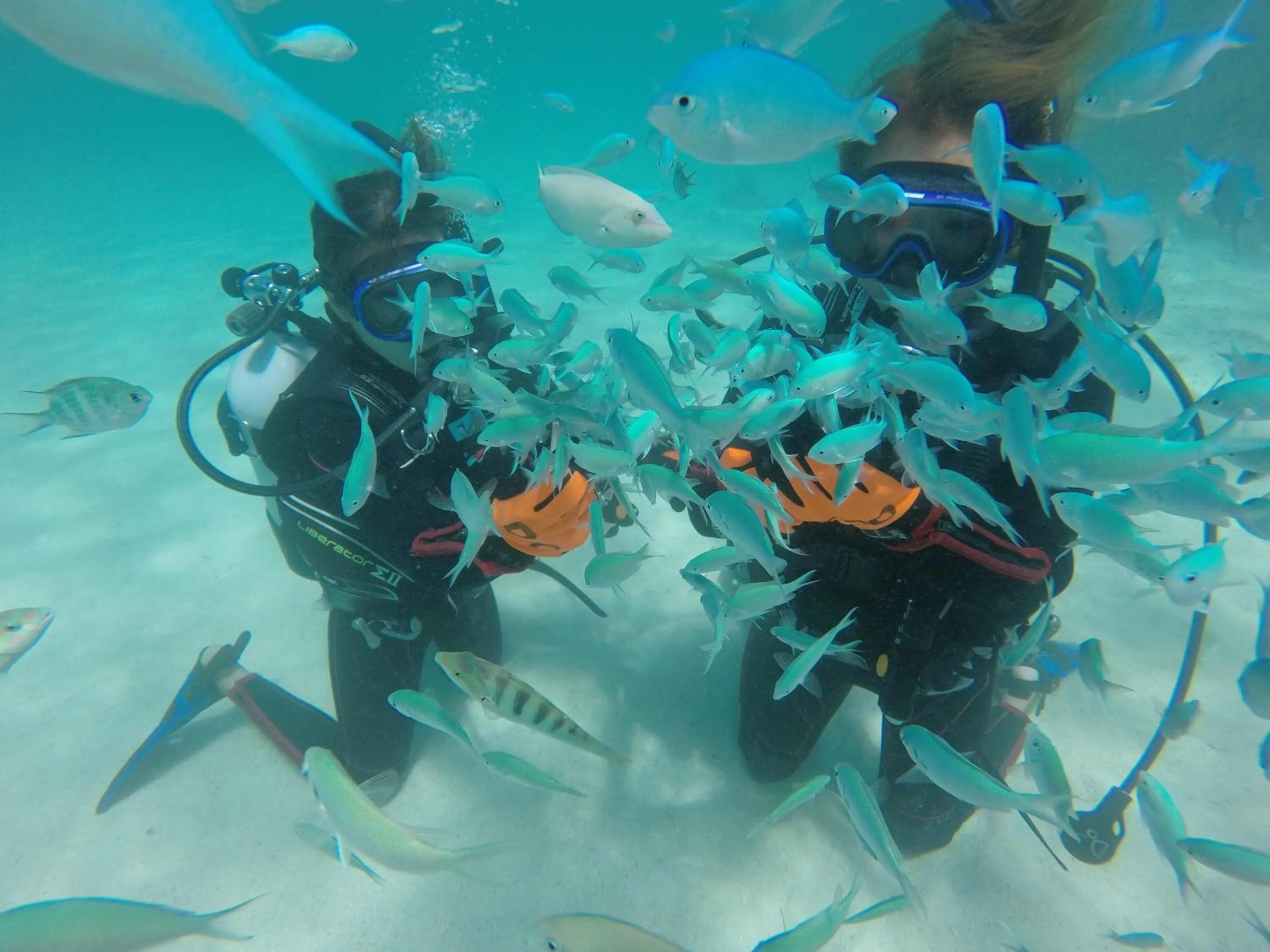 Activities in Cottage Do