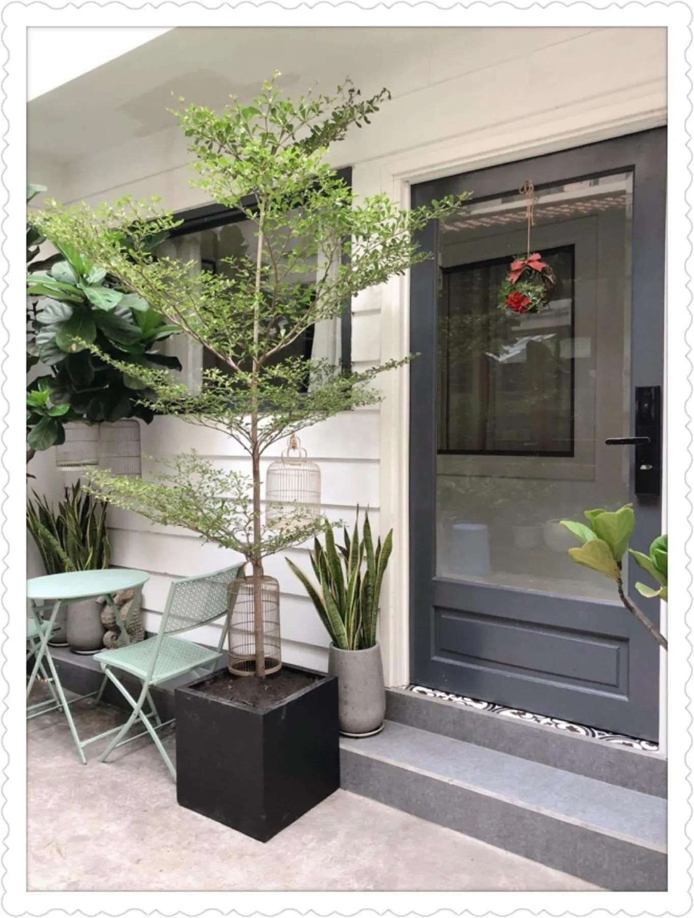 Balcony/Terrace in Lily Hostel