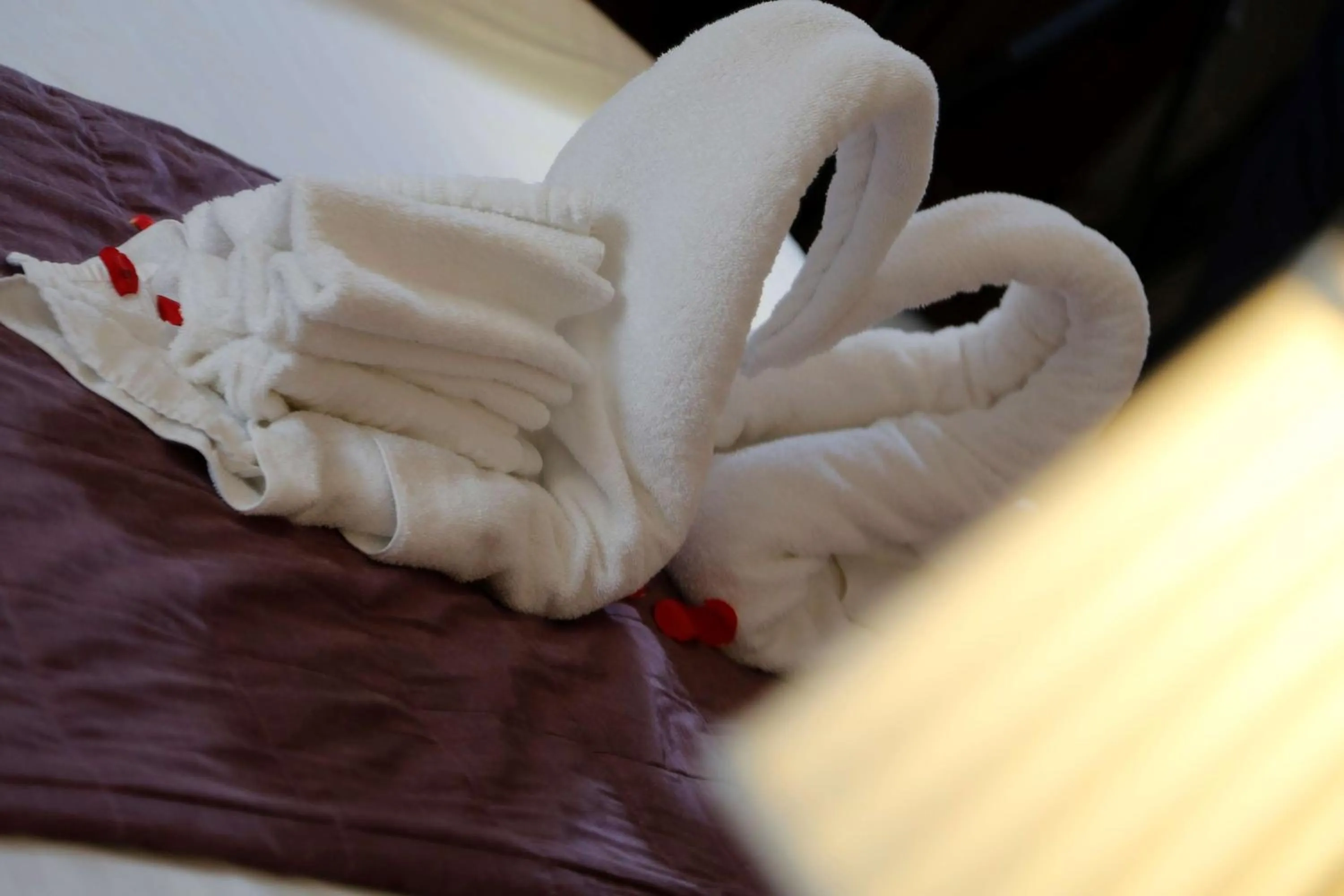 Photo of the whole room in Best Western Buckingham Hotel