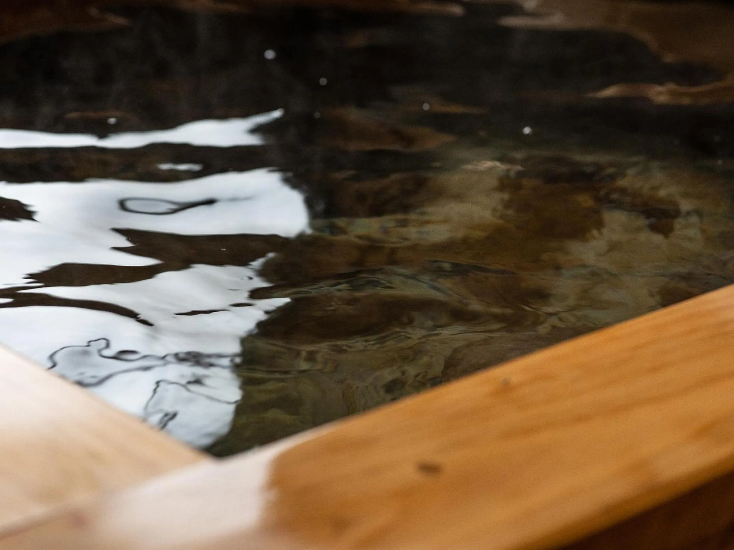 Kurokawa Mori No Kiki