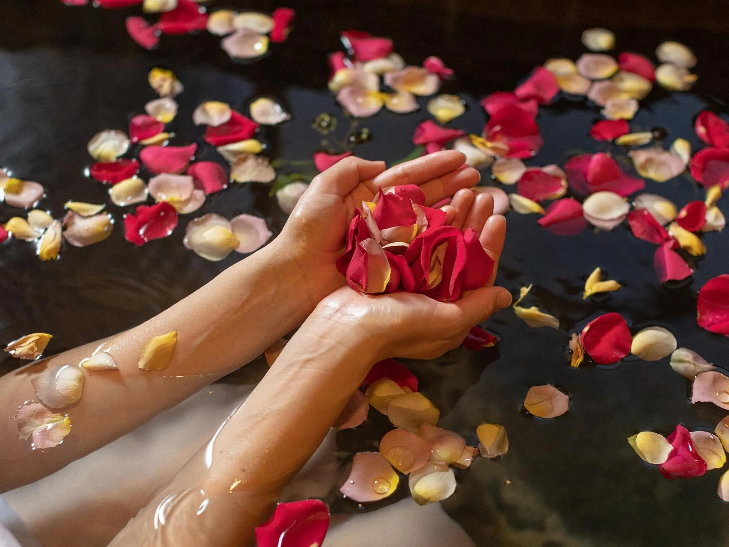 Kurokawa Mori No Kiki