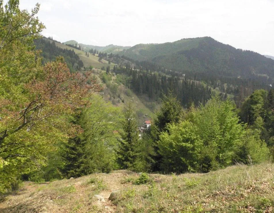 Area and facilities in Zan Hotel