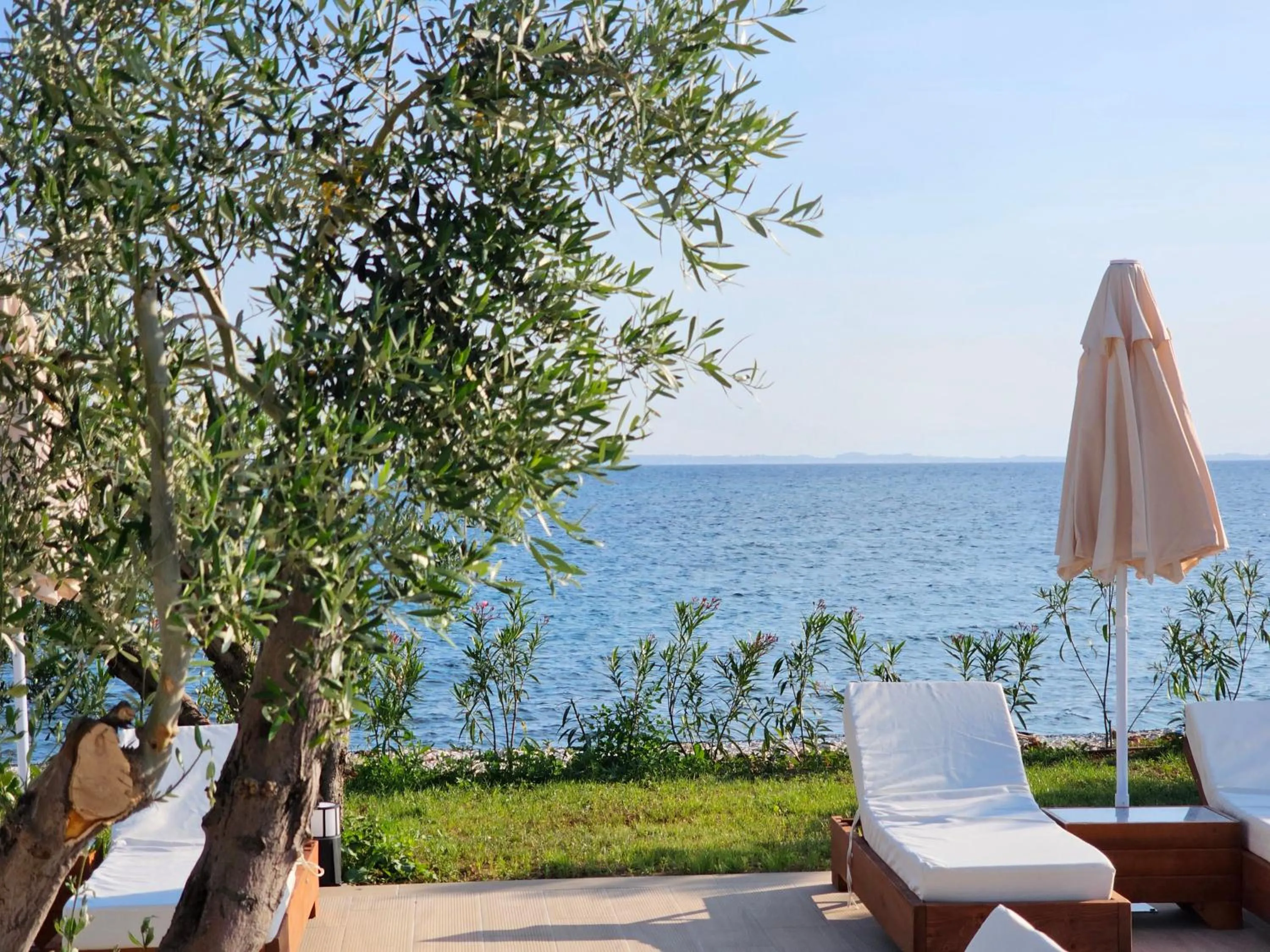 Garden in Sea Coast Resort Halkidiki