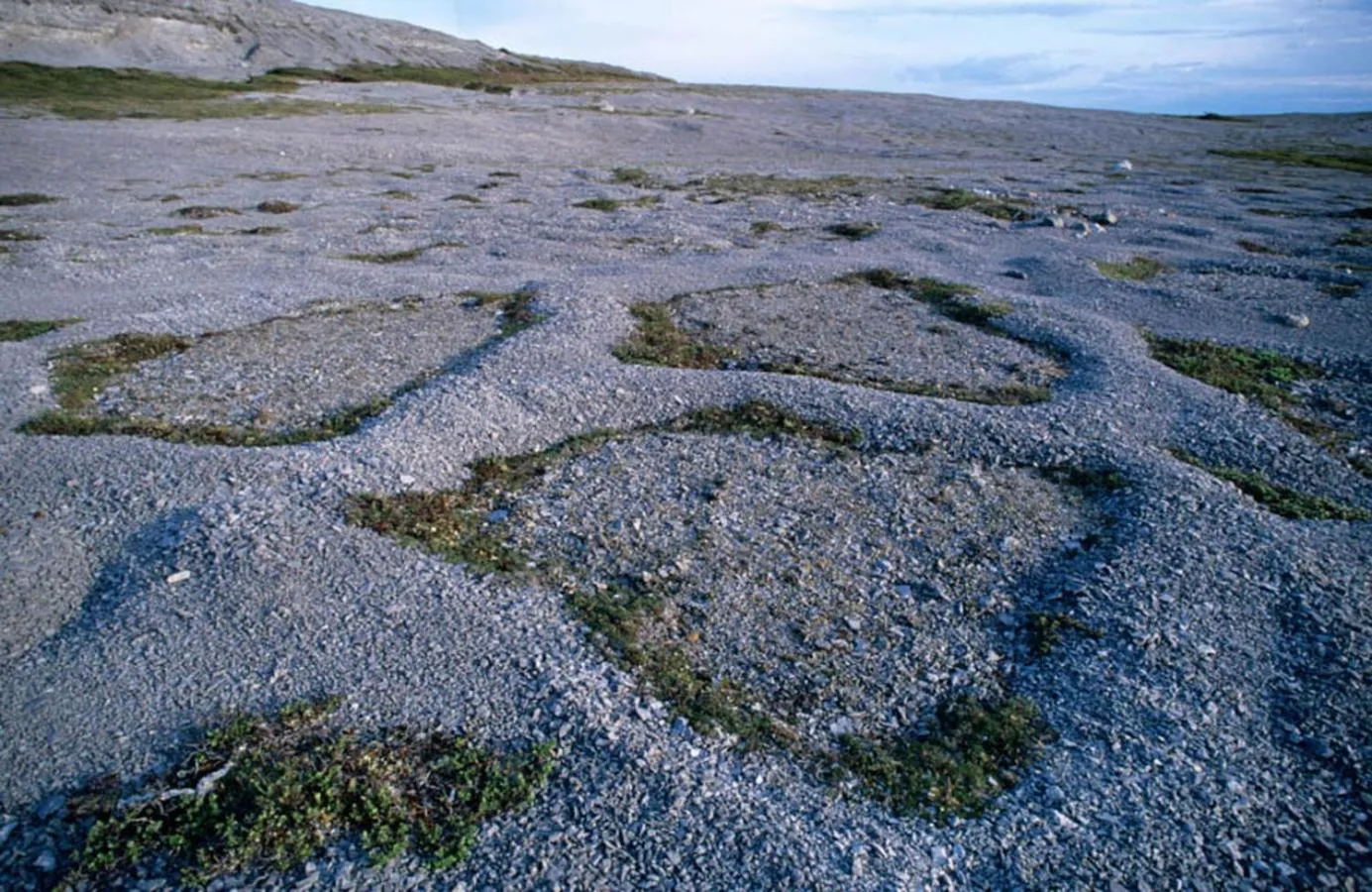 Day in Burnt Cape Cabins