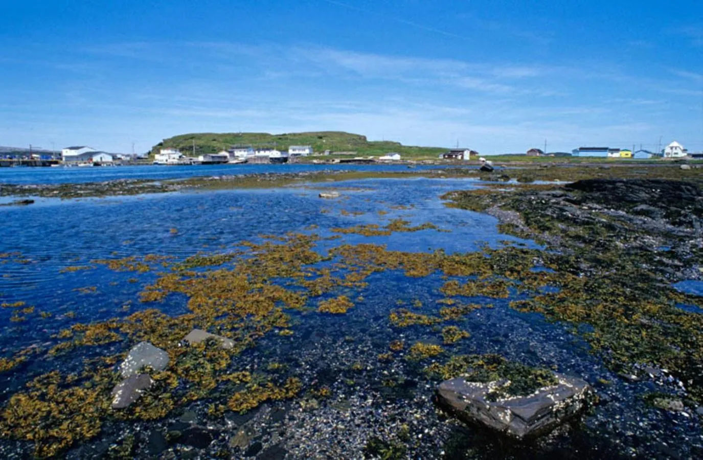 Natural landscape in Burnt Cape Cabins