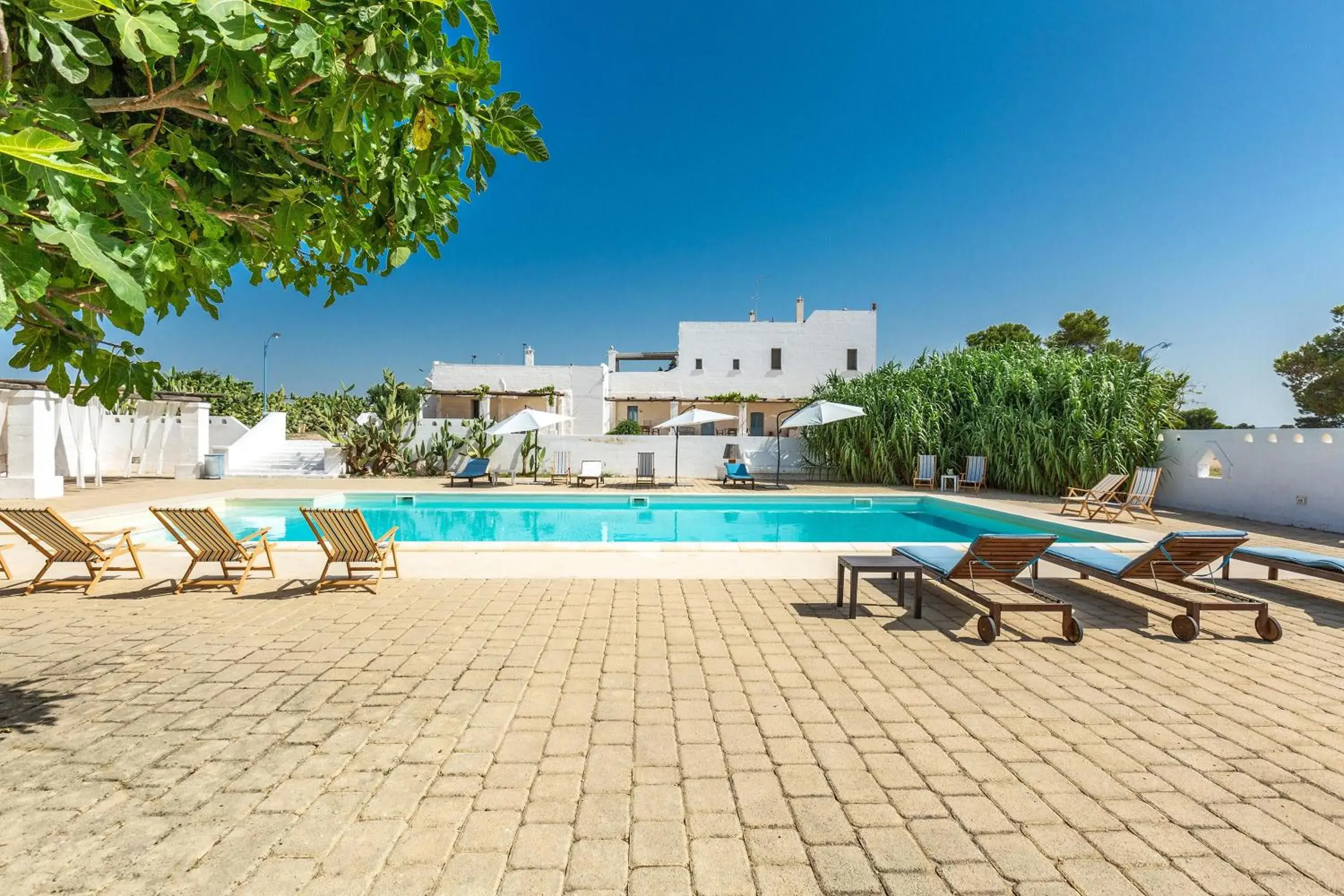 Masseria Pepe Masseria Pepe