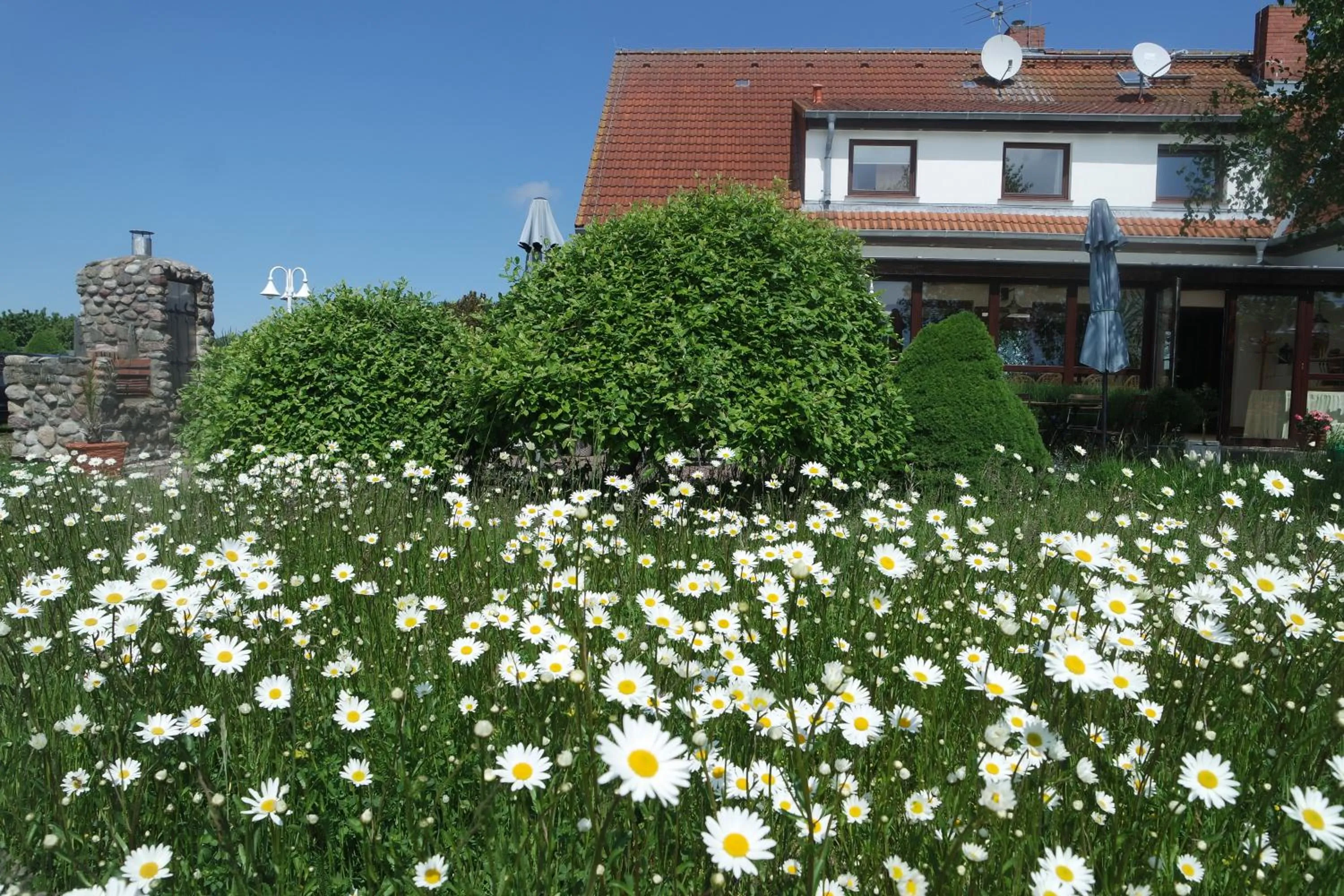 Spring in Aparthotel Schafshorn