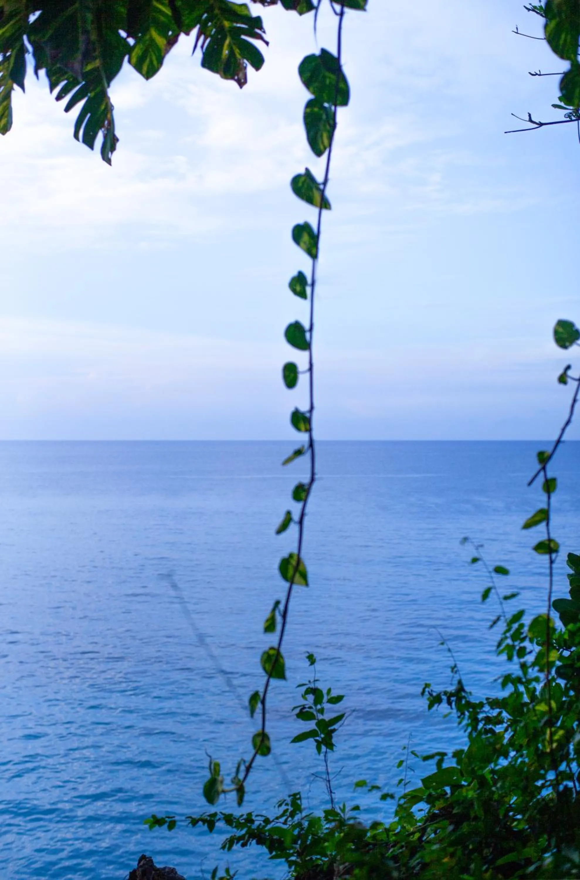 Frenchman's Cove Resort