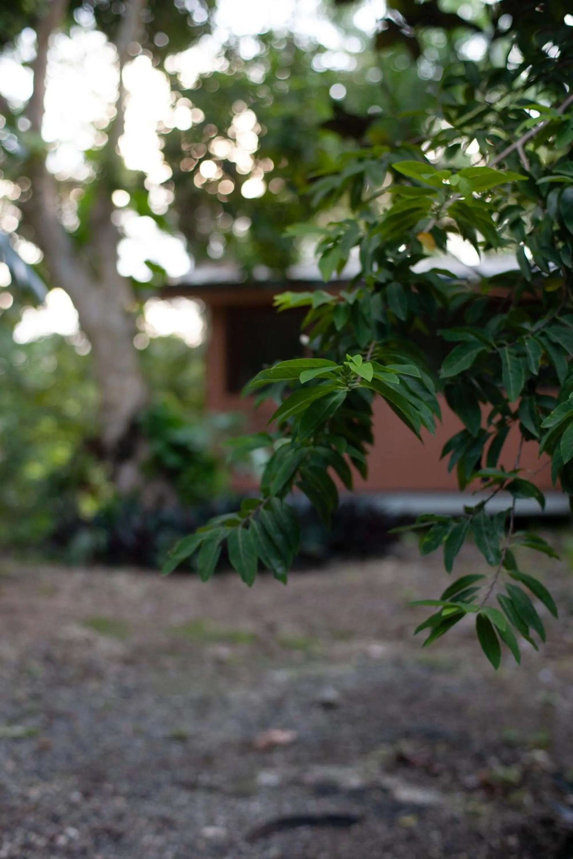 Frenchman's Cove Resort