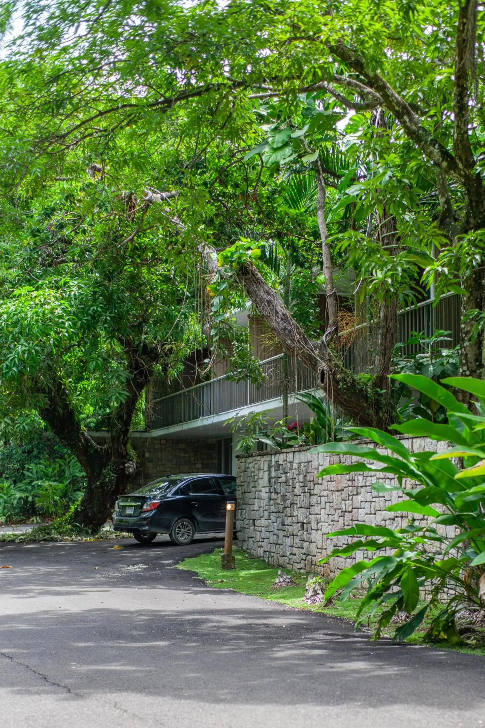 Frenchman's Cove Resort