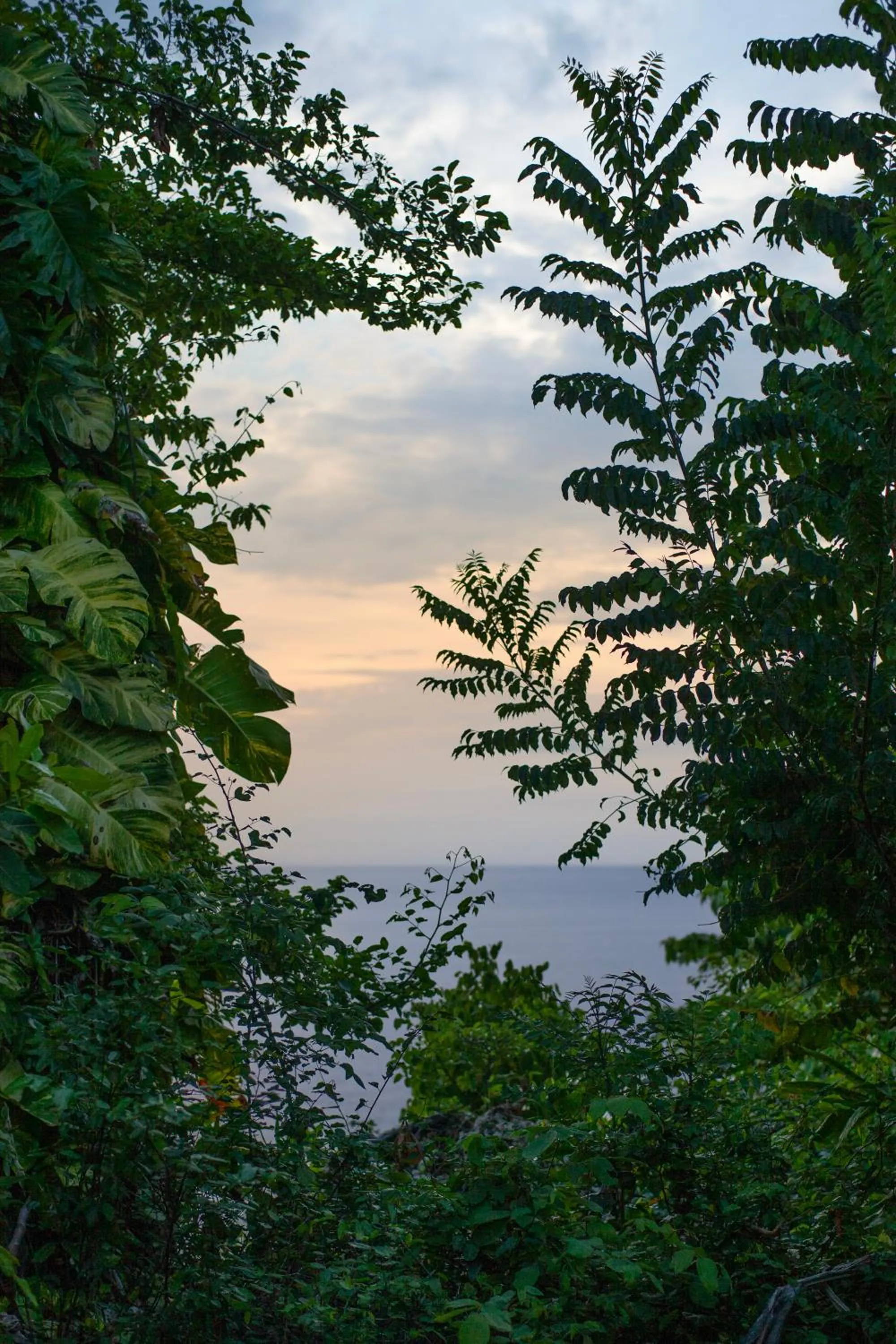 Frenchman's Cove Resort