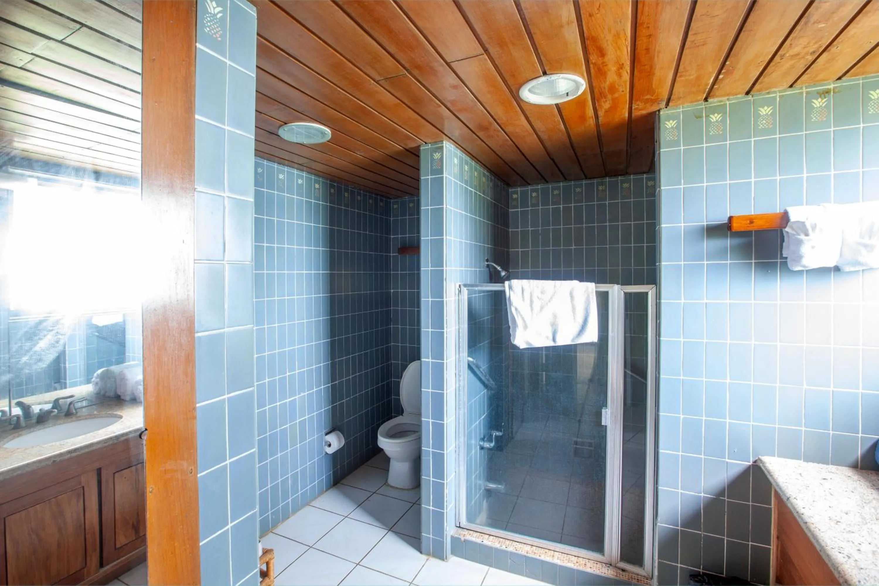 Frenchman's Cove Resort