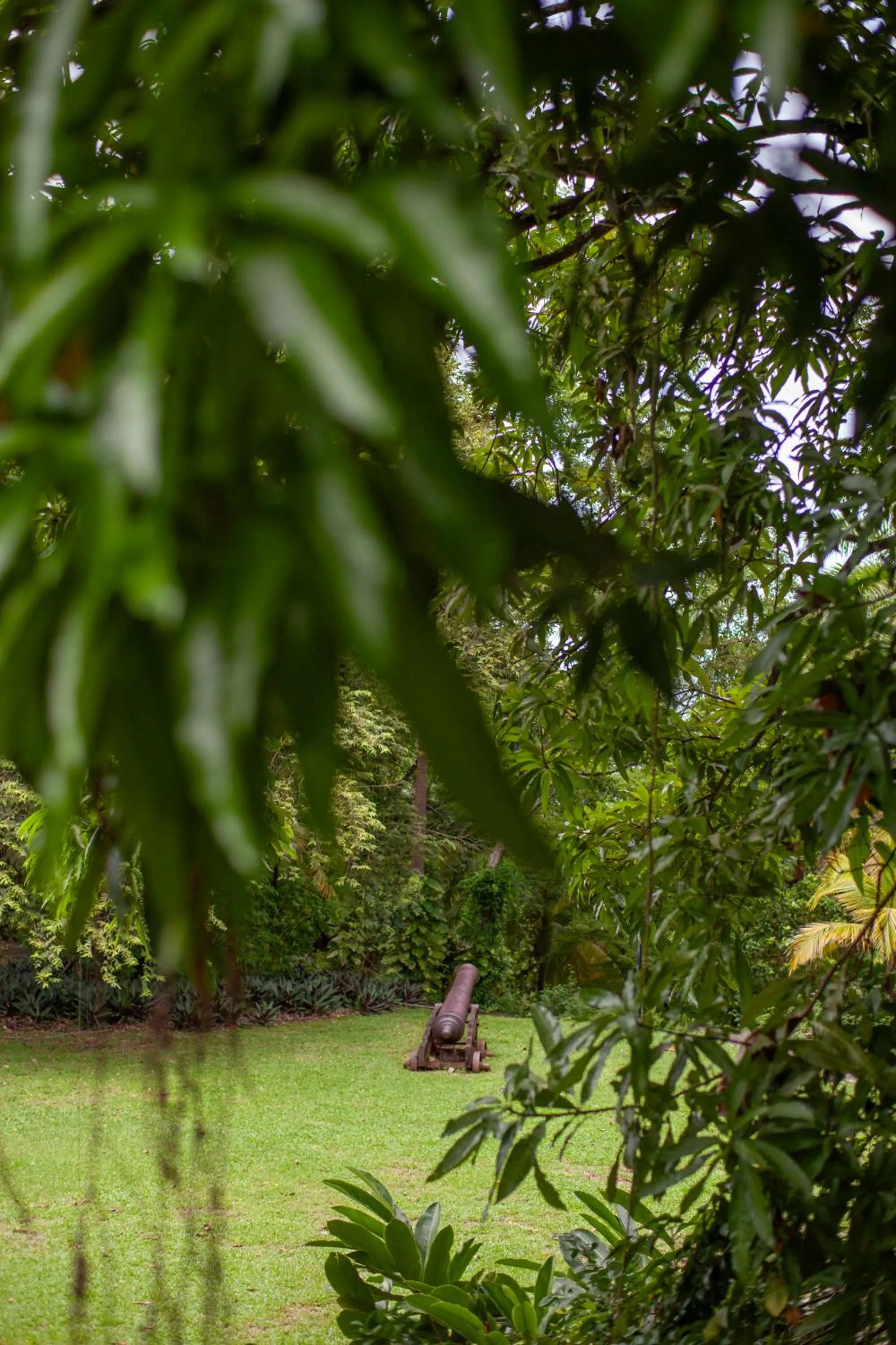 Frenchman's Cove Resort