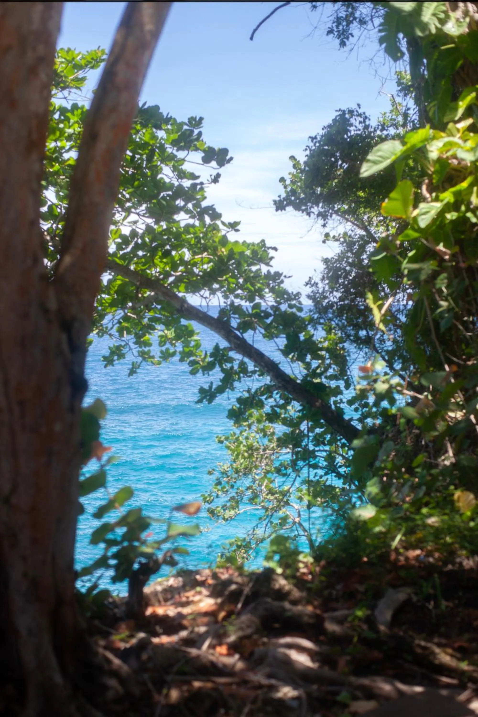 Frenchman's Cove Resort