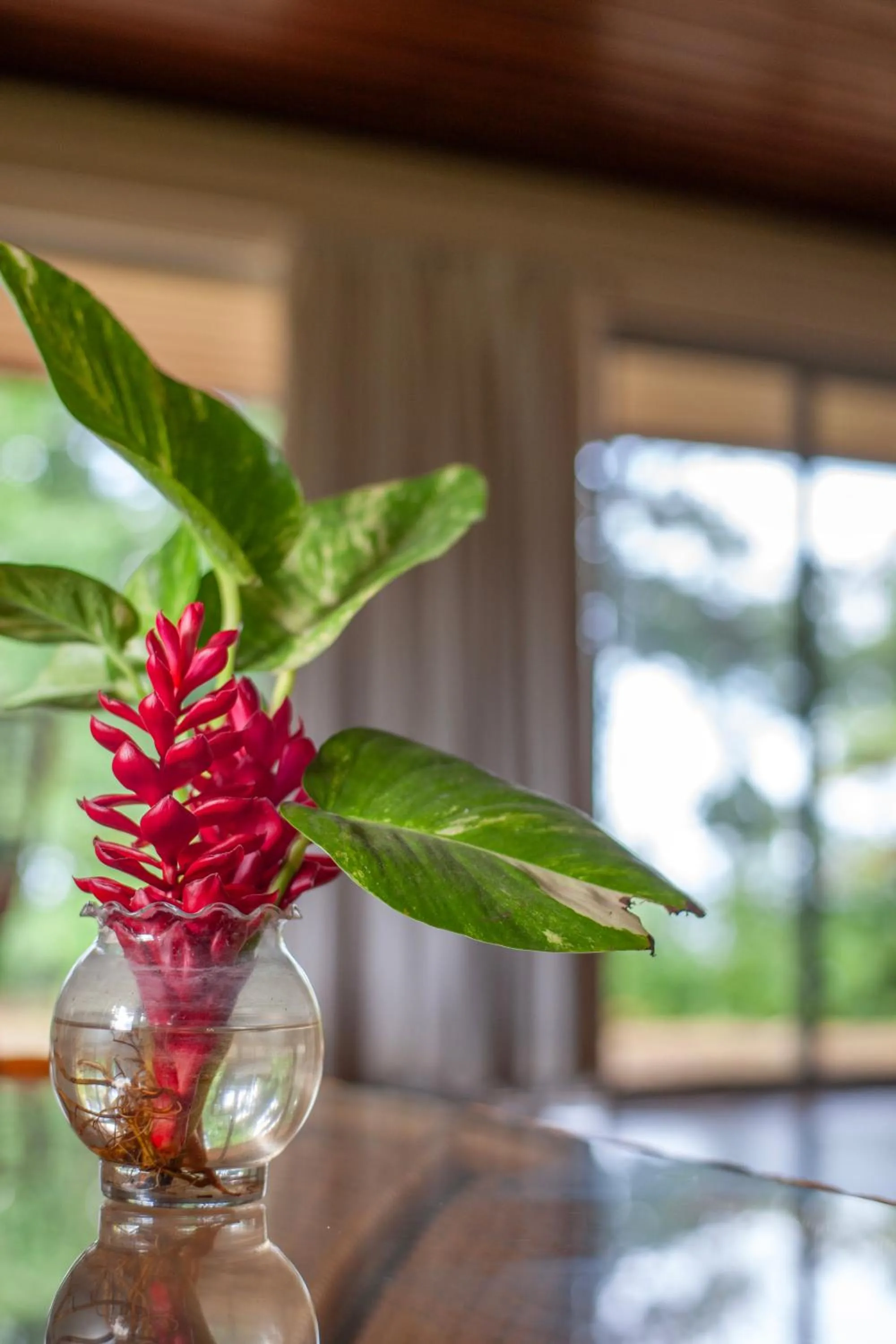 Frenchman's Cove Resort