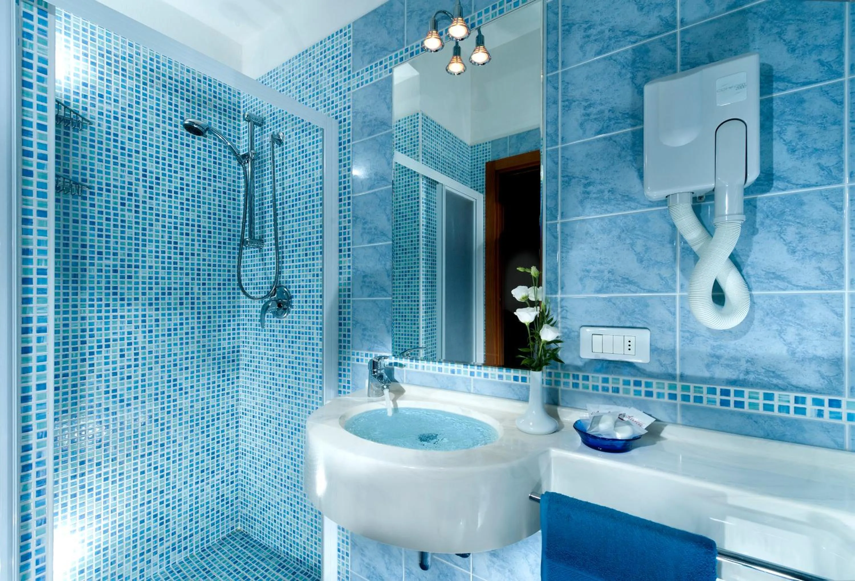 Shower in Hotel Paris Resort