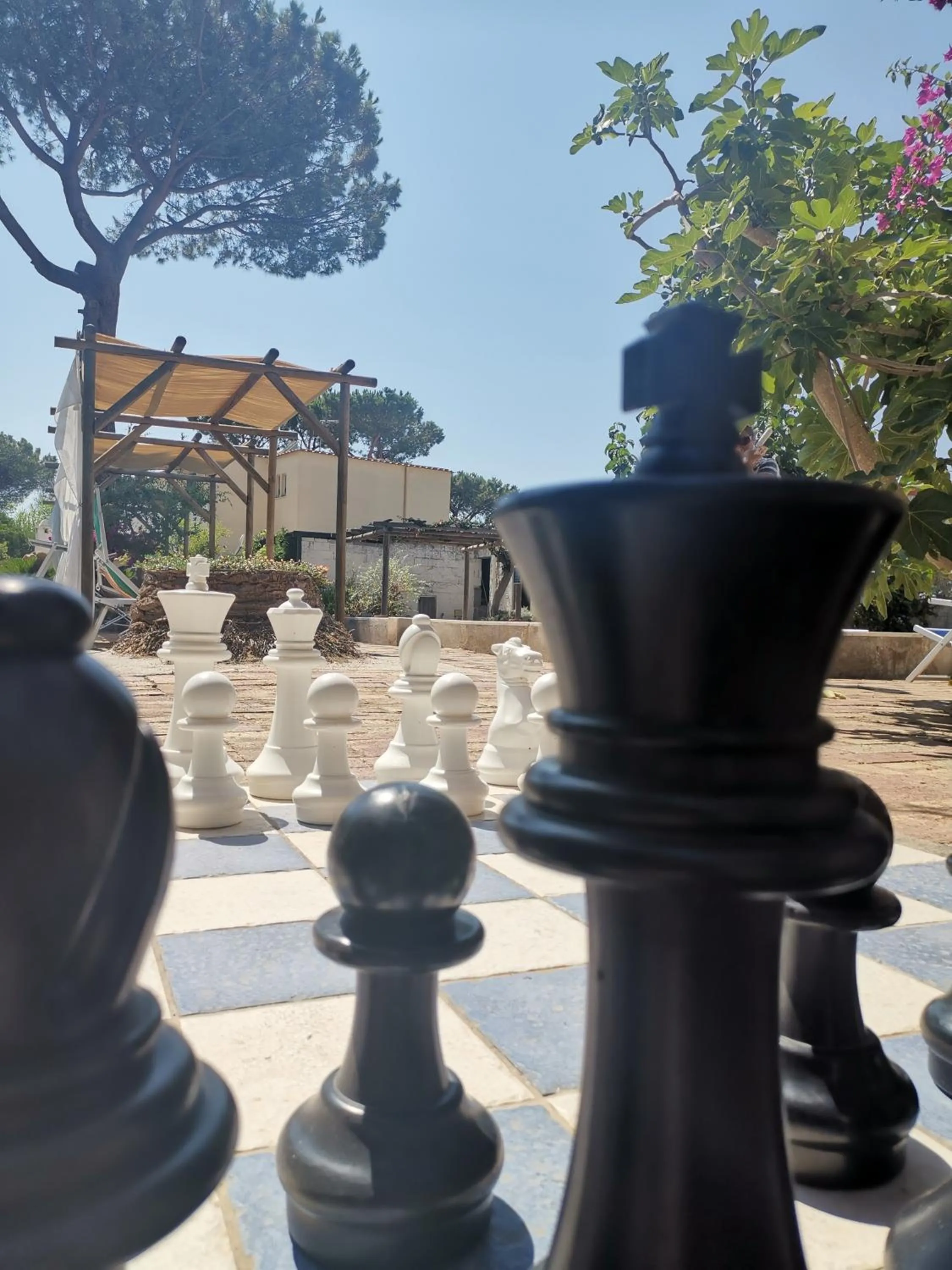 Day in Villa Olivia Residence Ischia - Monolocali e Bilocali nel Verde con Piscine e Vista Mare