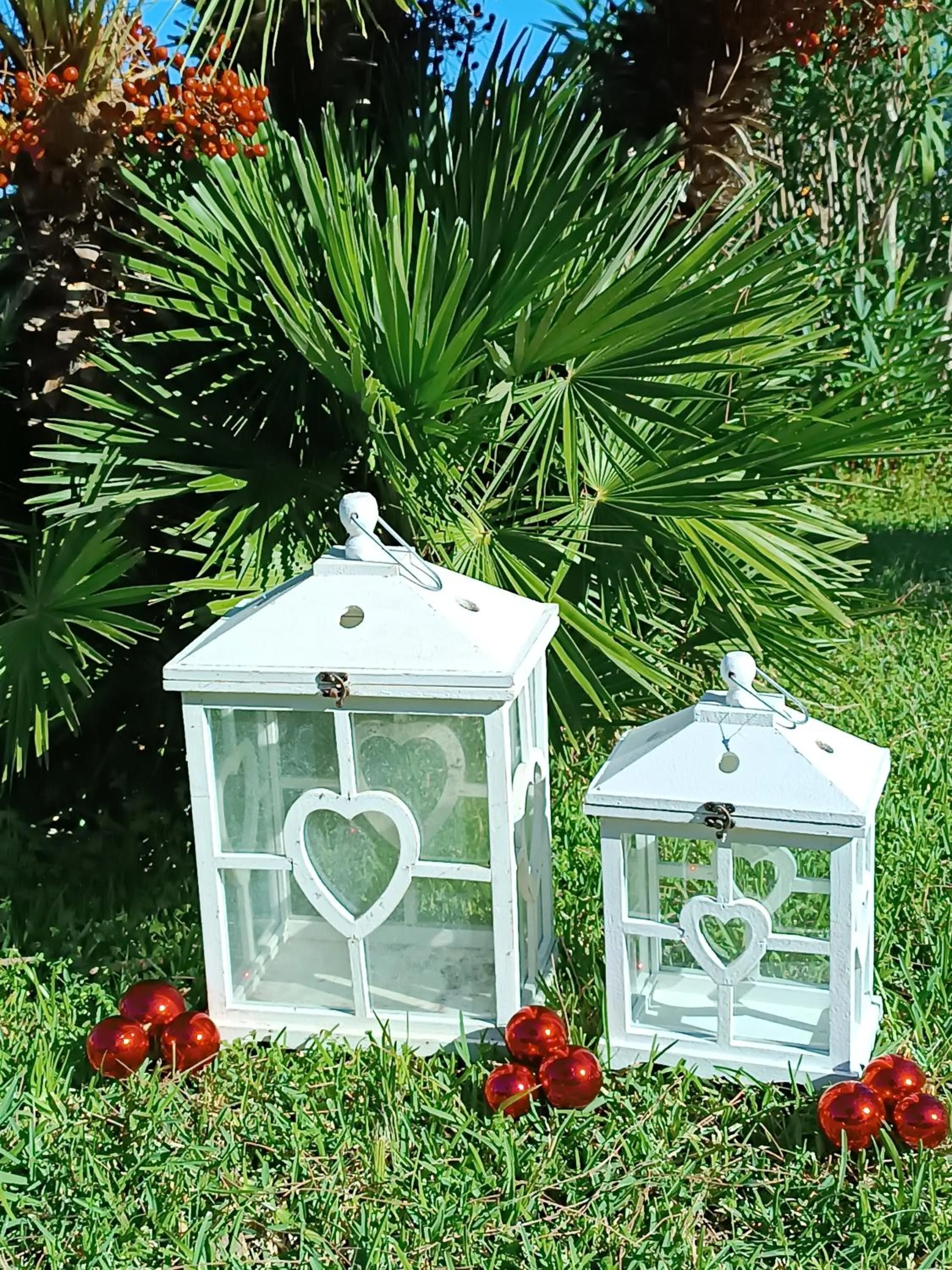 Garden in Villa Olivia Residence Ischia - Monolocali e Bilocali nel Verde con Piscine e Vista Mare