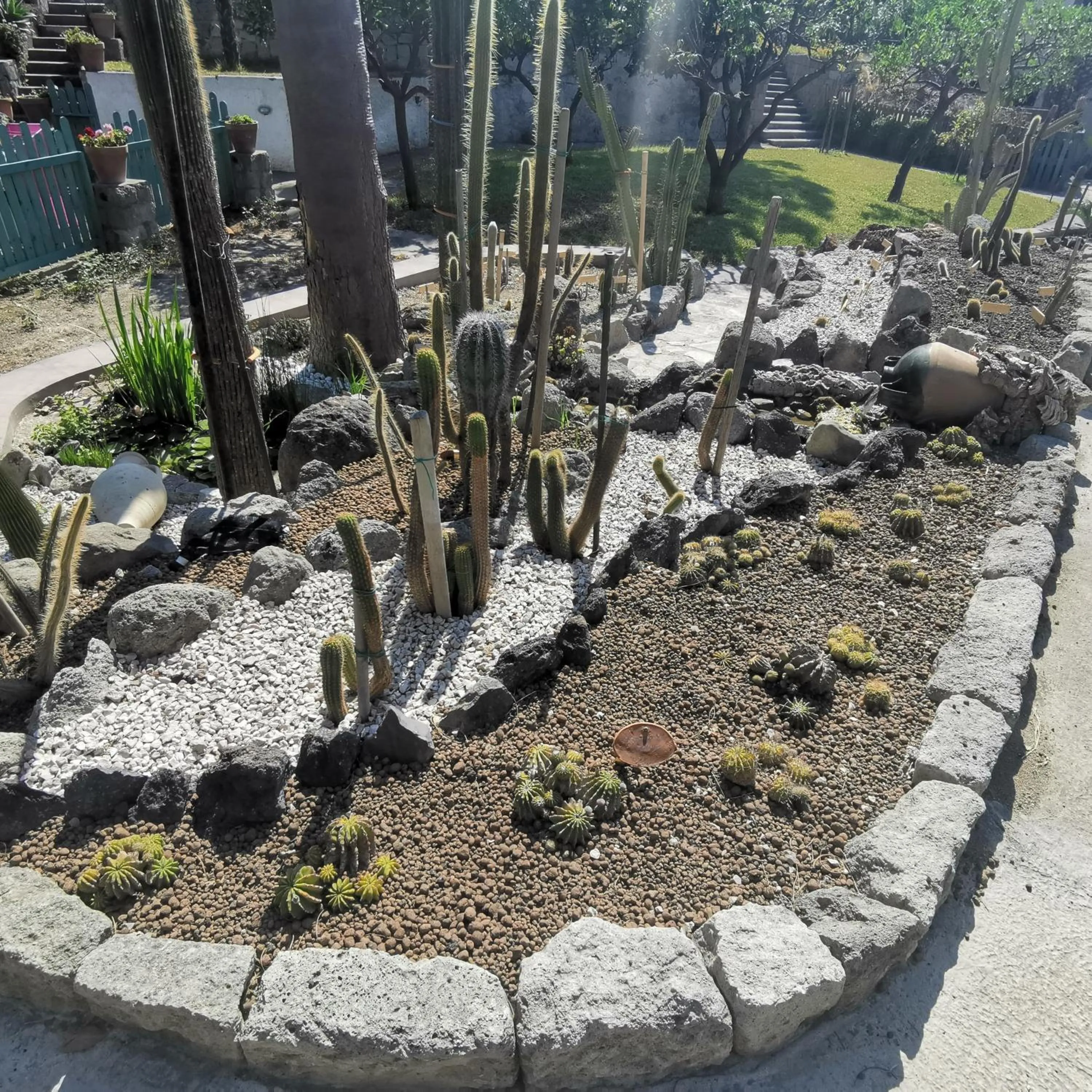 Spring in Villa Olivia Residence Ischia - Monolocali e Bilocali nel Verde con Piscine e Vista Mare