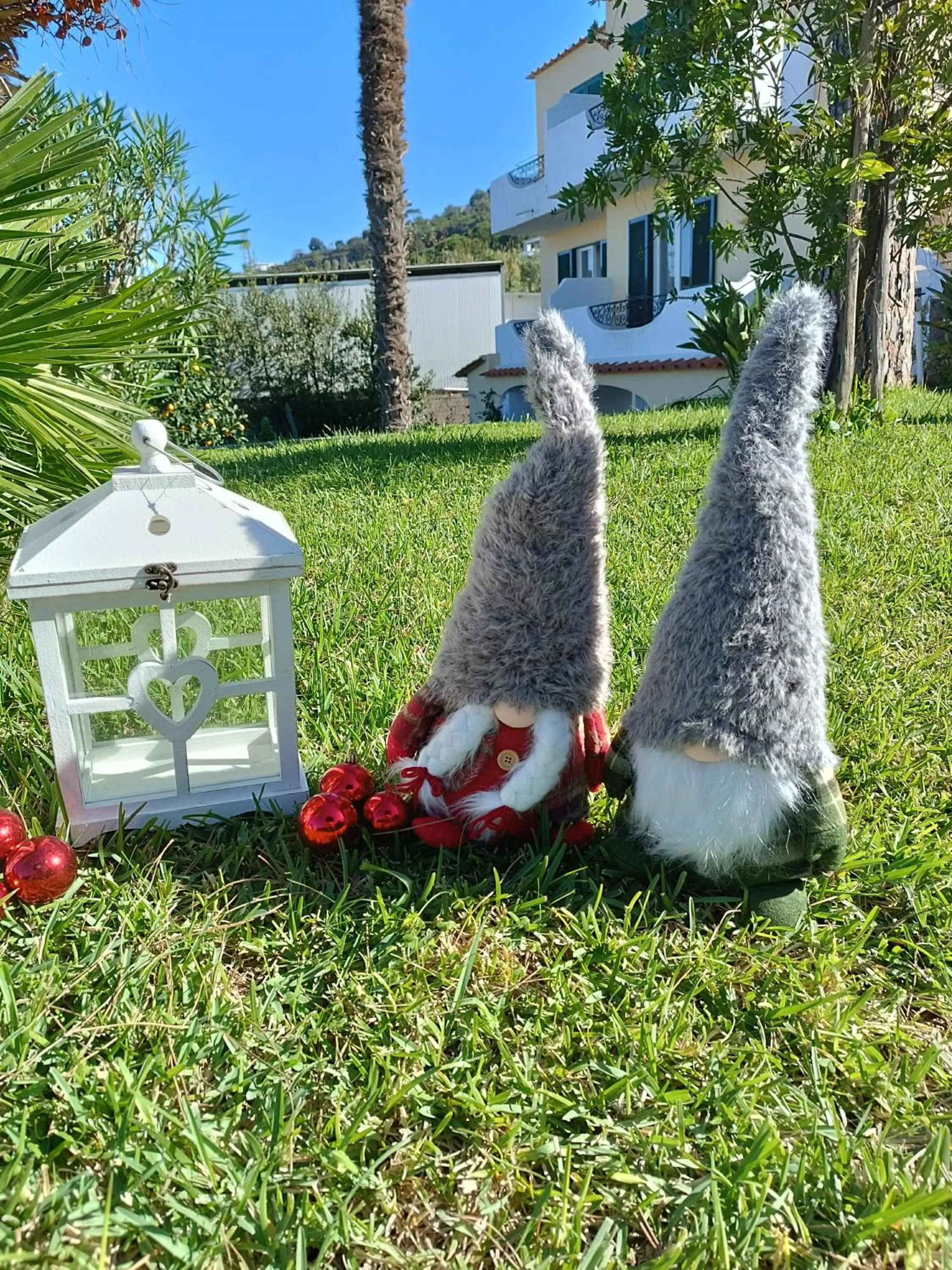 Spring in Villa Olivia Residence Ischia - Monolocali e Bilocali nel Verde con Piscine e Vista Mare