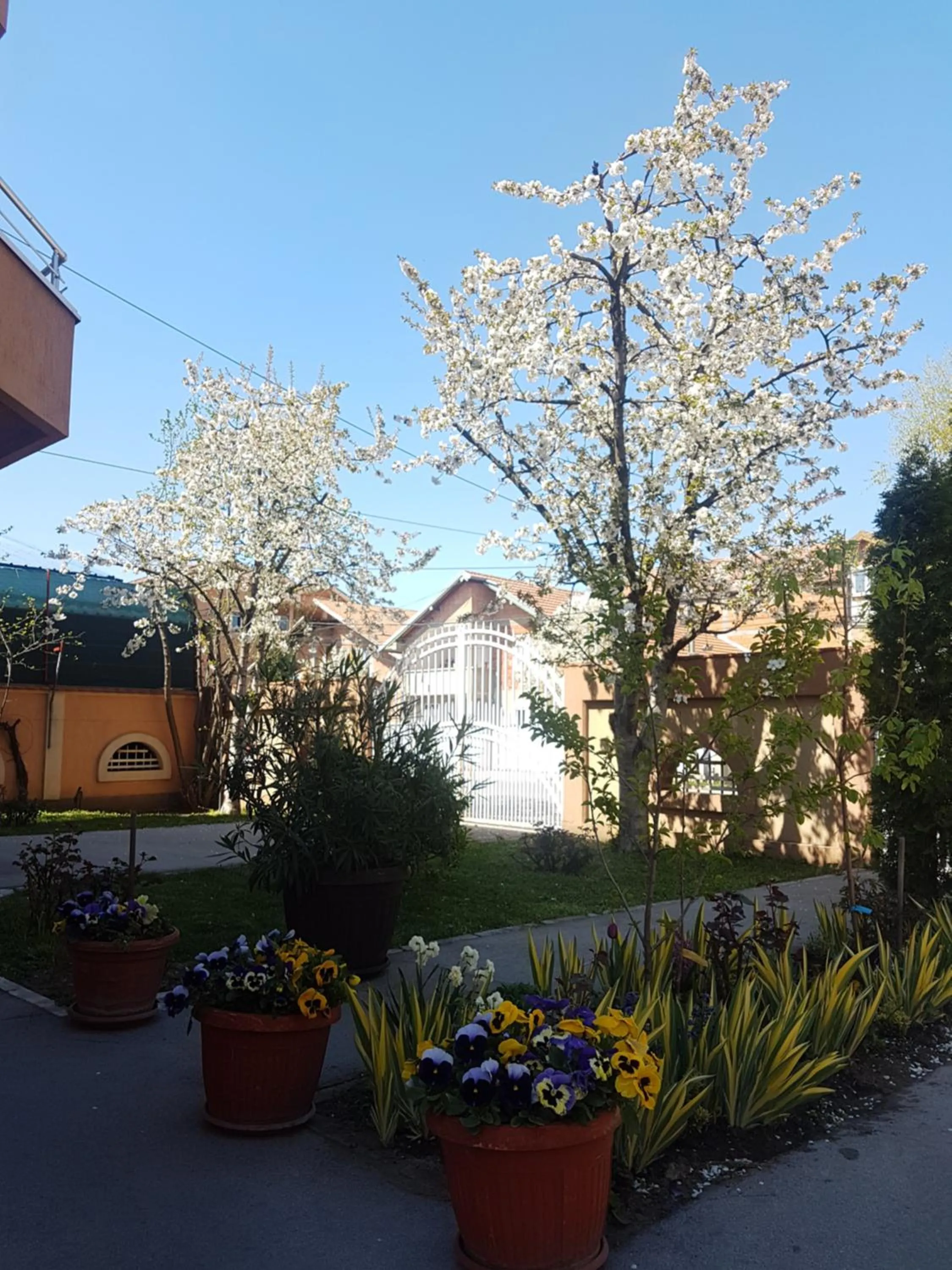 Apartments Bella Mare Belgrade