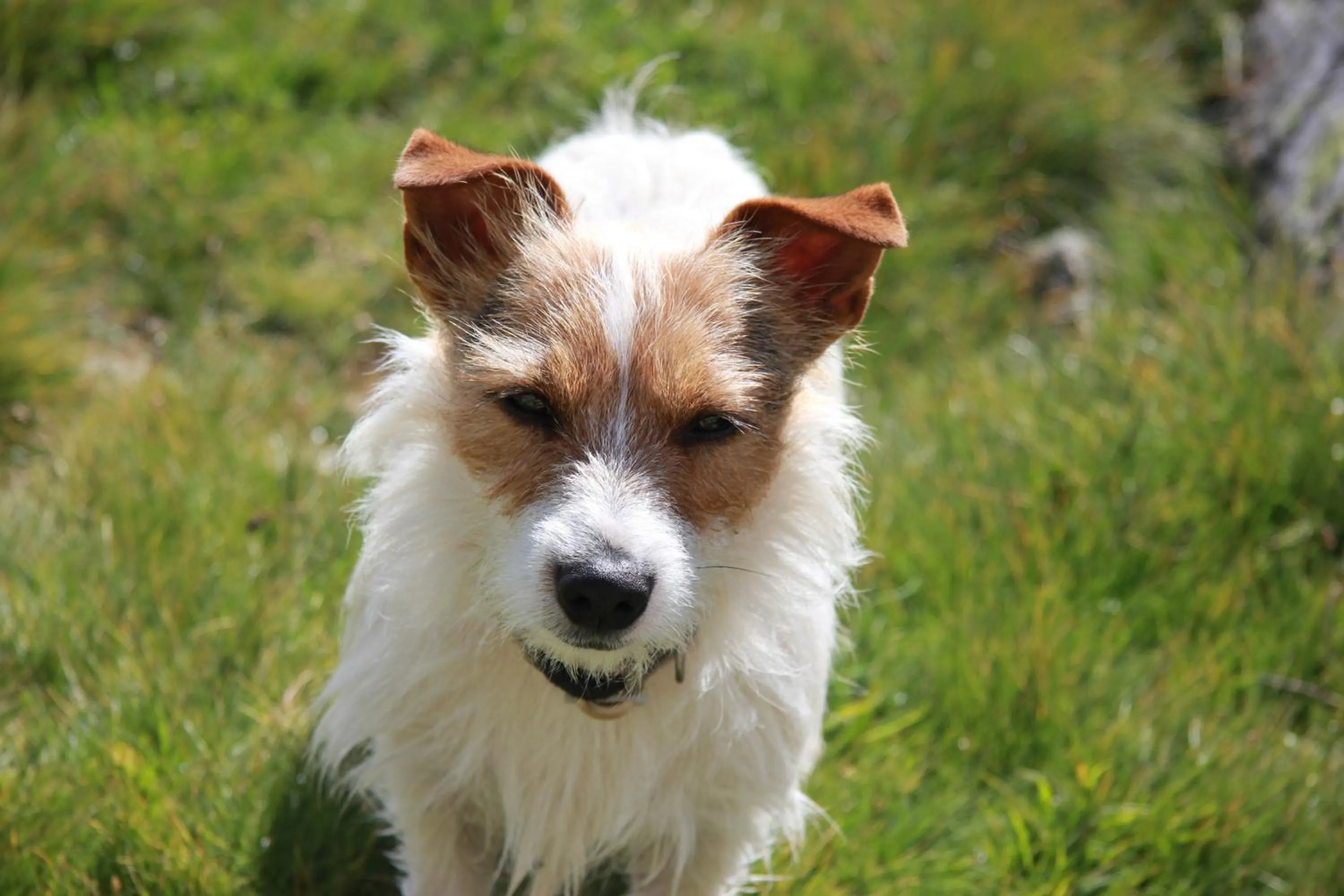 Other in Chambre d'Hôte "Chez Antoinette et Charles"