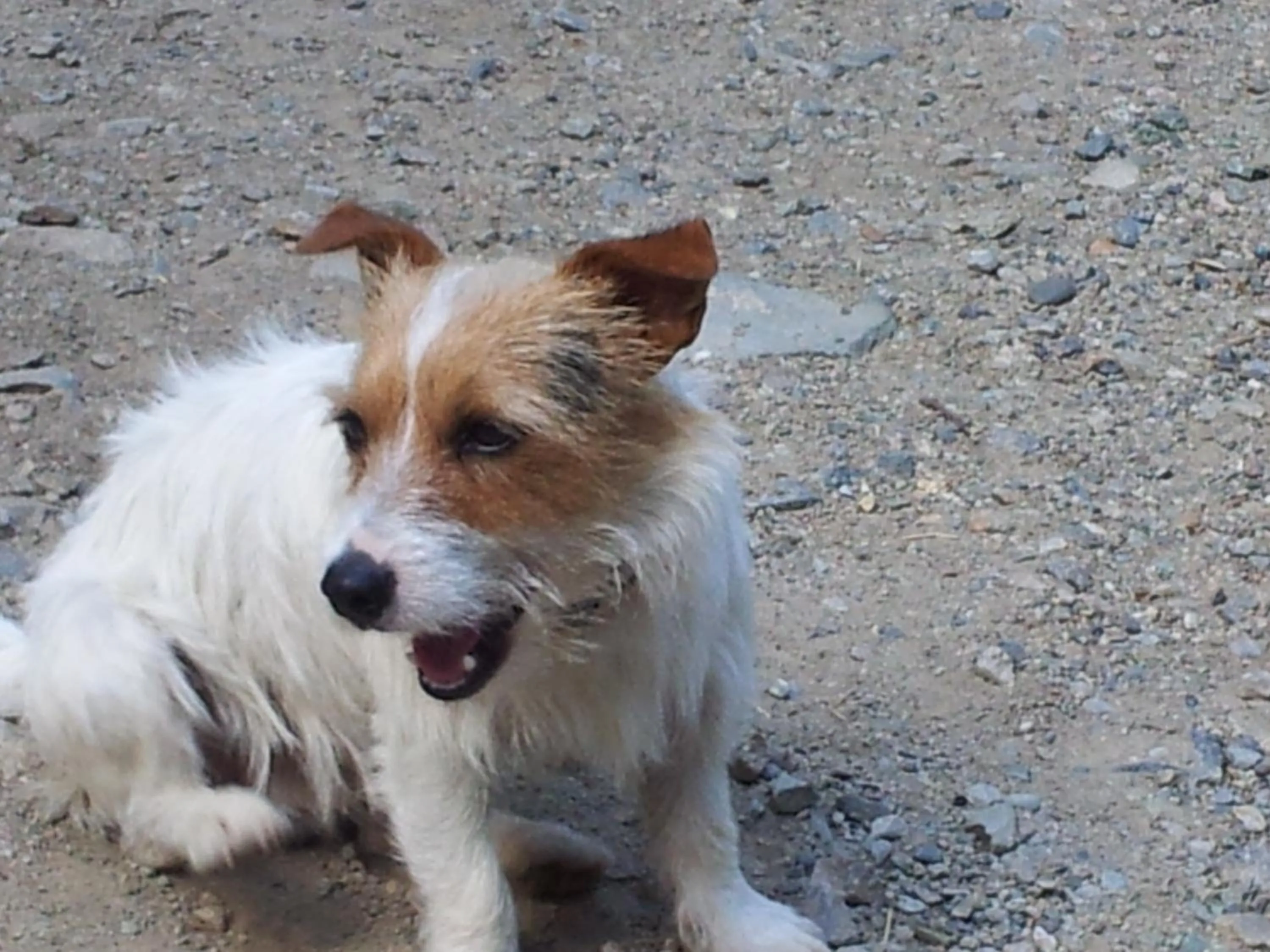 Chambre d'Hôte "Chez Antoinette et Charles"