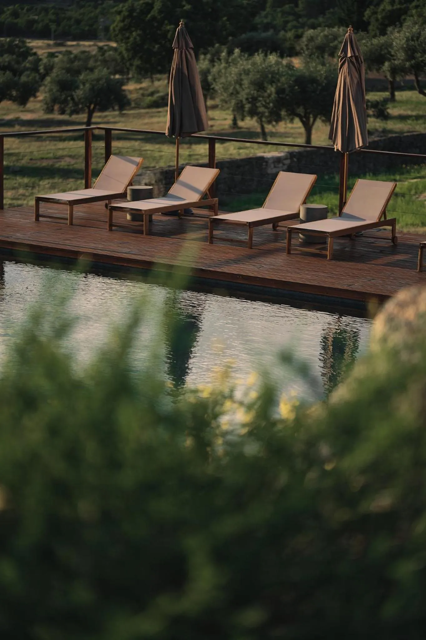 Swimming pool in Bode Country House