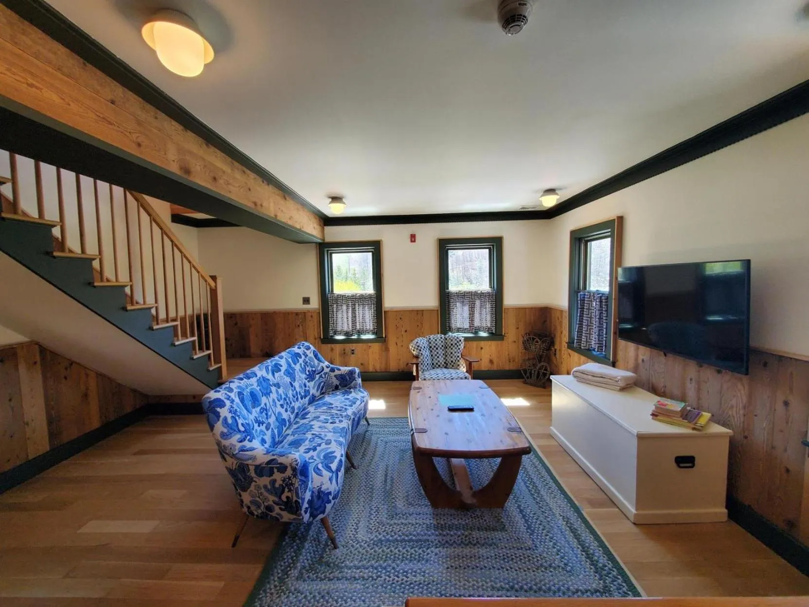 TV and multimedia in Little Cat Lodge