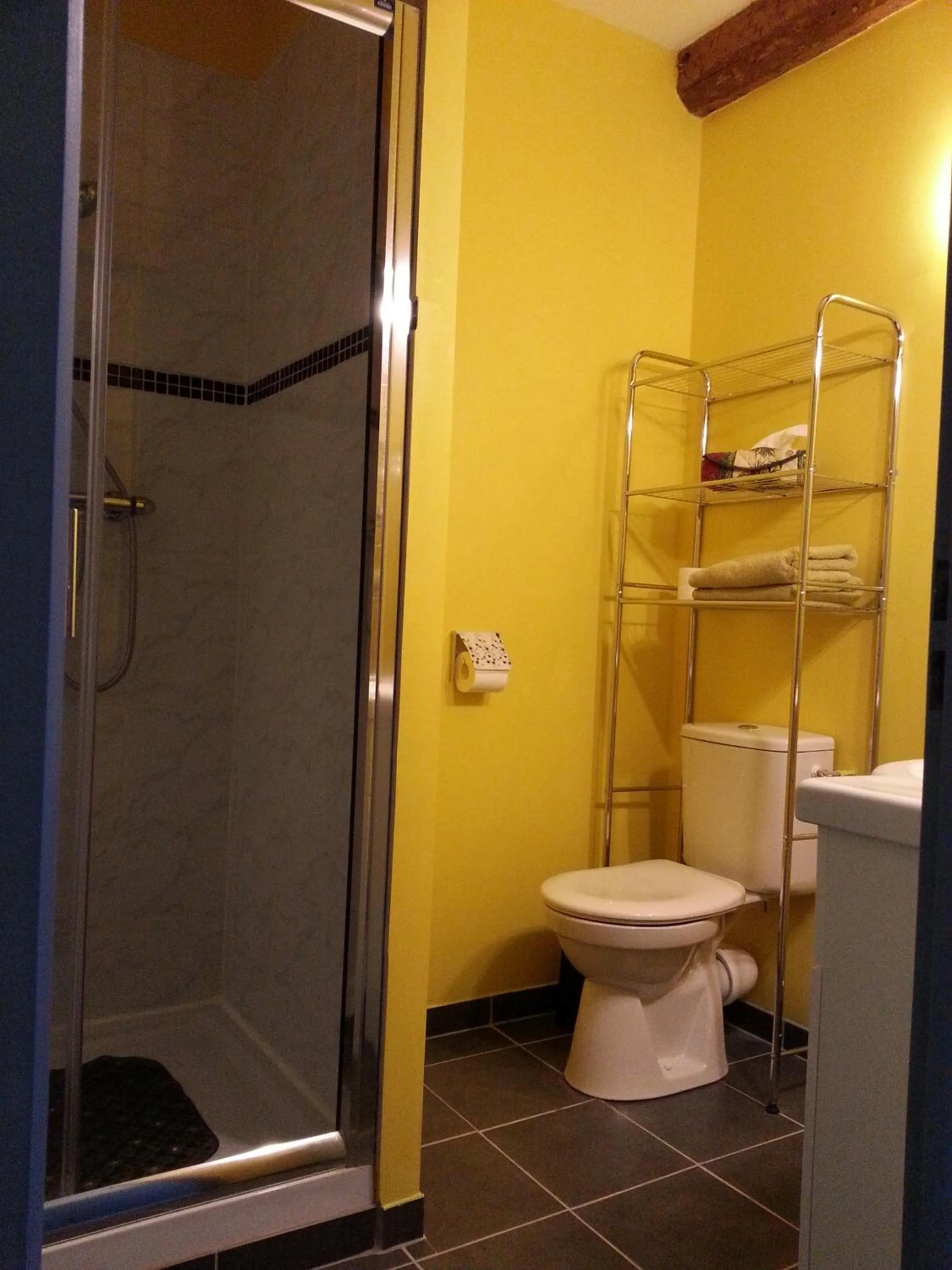 Classic Double Room with Shower in Millot Conilhac