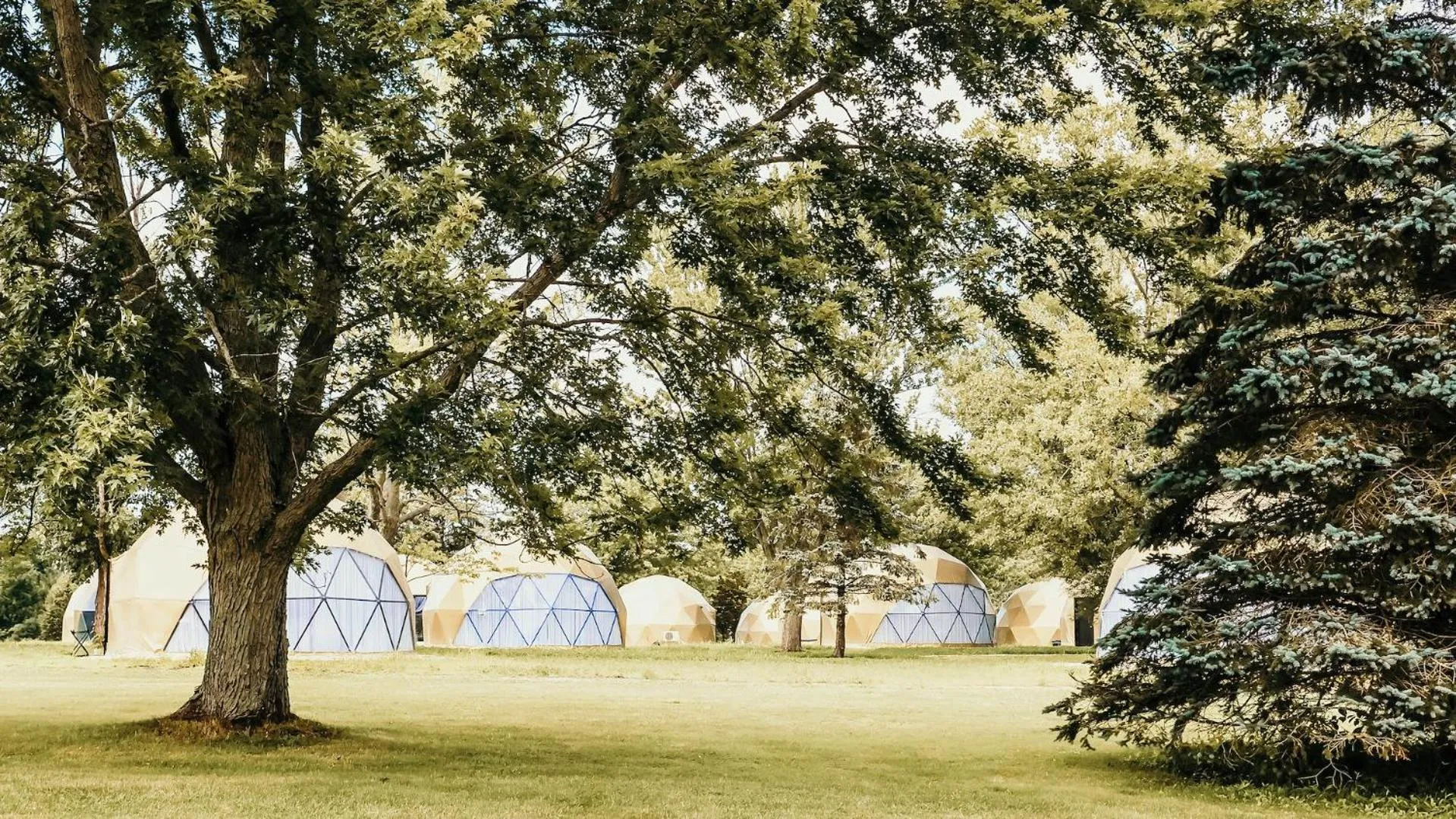 Natural landscape in DayDreamer Domes