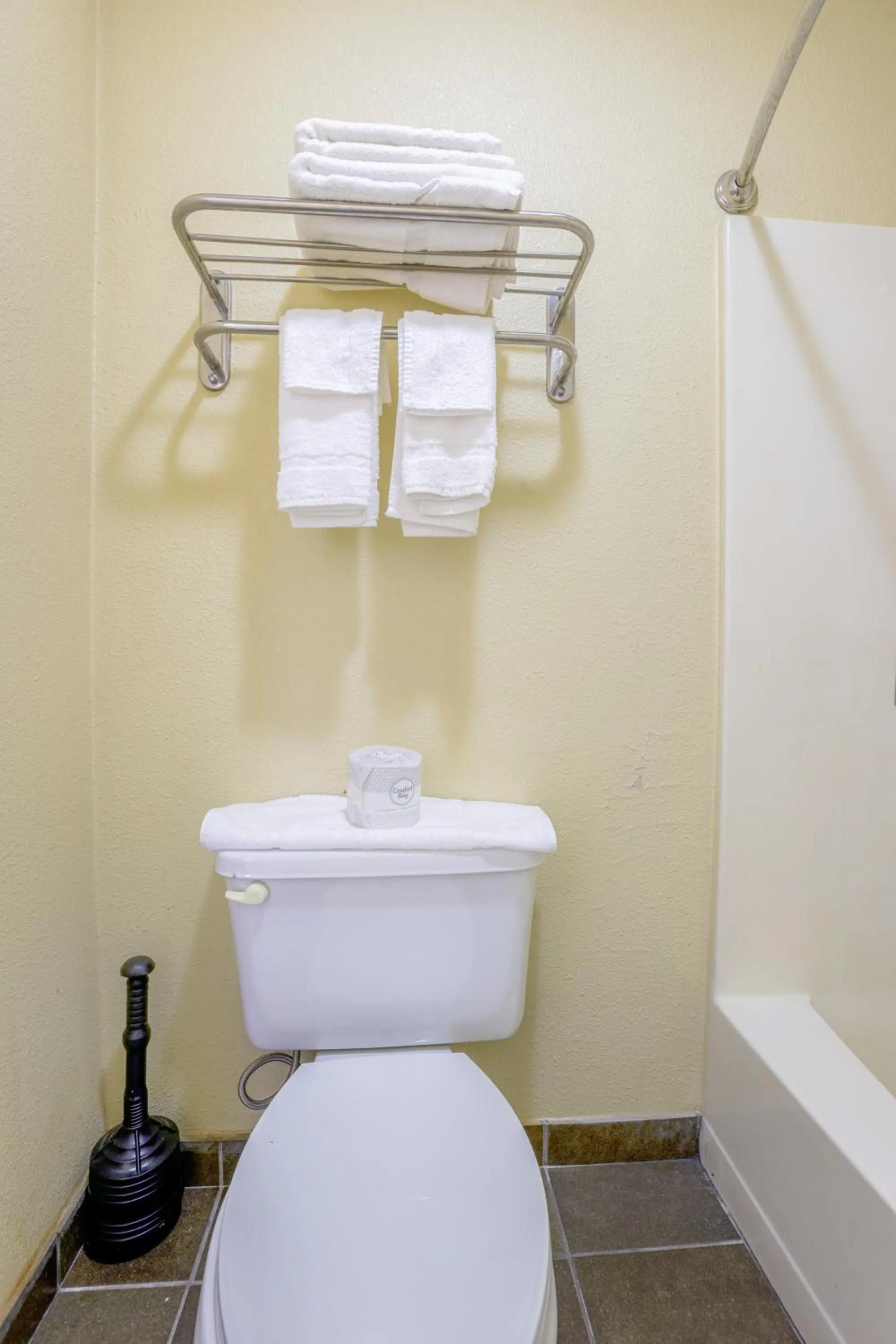 Bathroom in Budget Inn By OYO Natural Bridge I-81