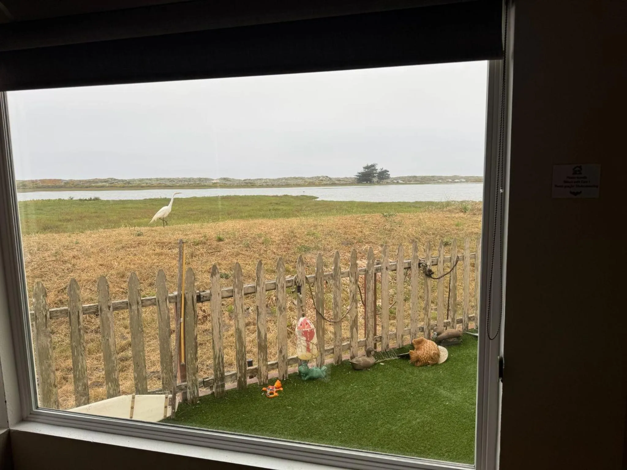 Natural landscape in Captain's Inn at Moss Landing