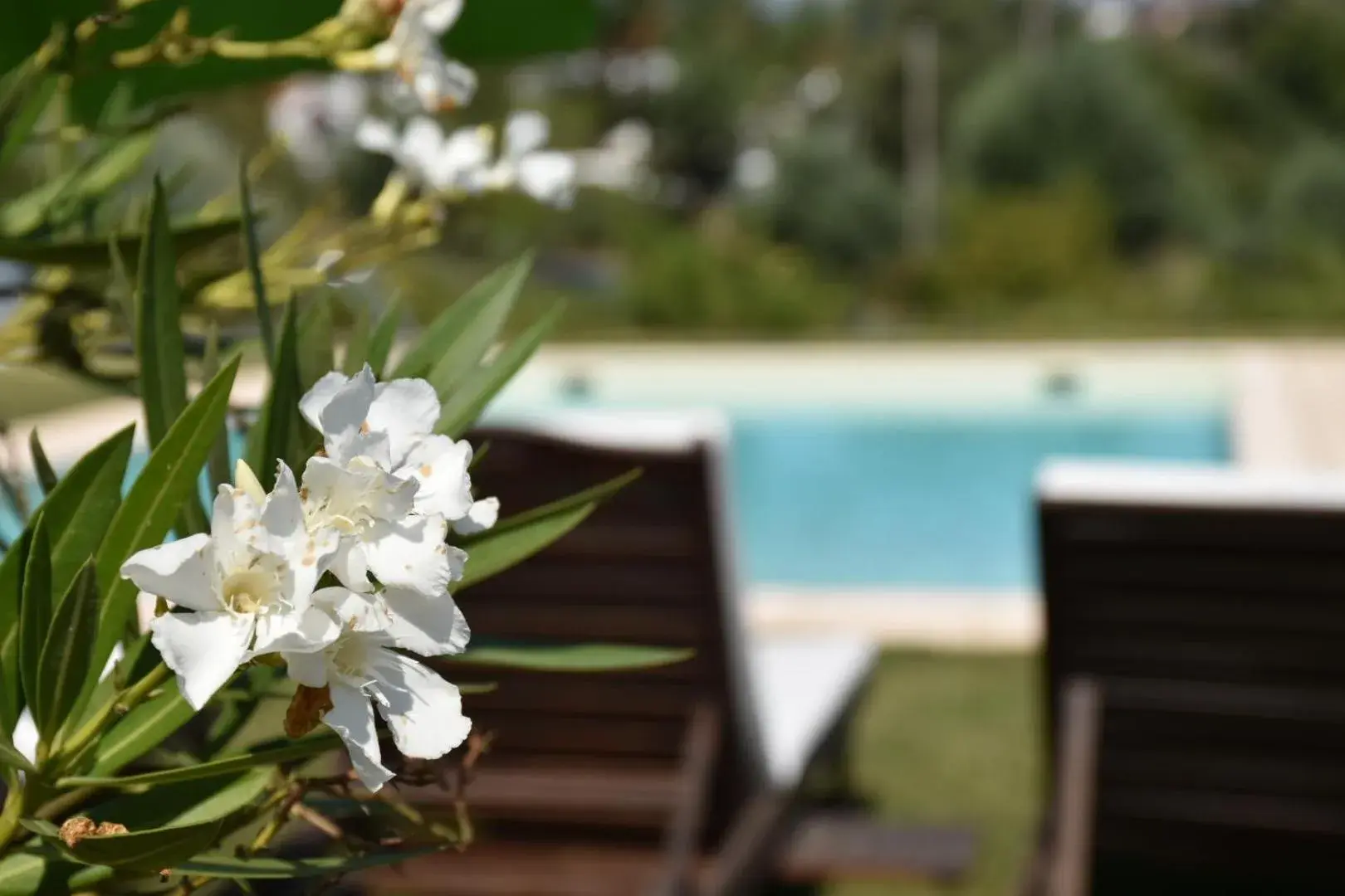 Casa nas Serras Casa nas Serras