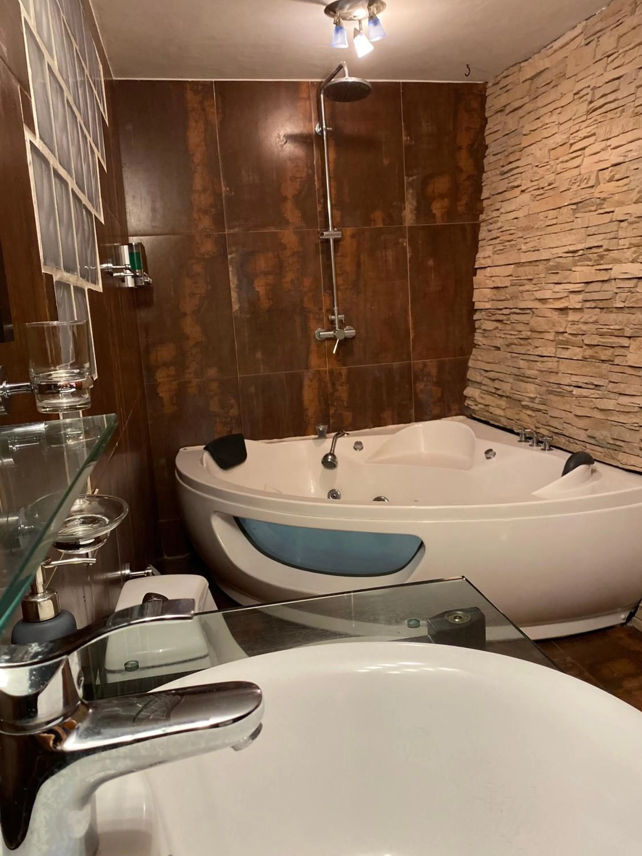 Bathroom in Iguanazu Bed & Breakfast